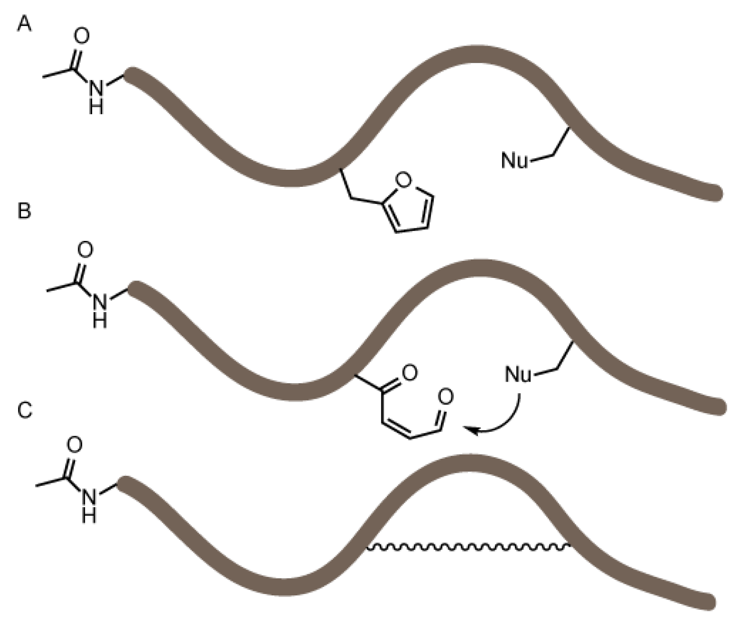 Biomedicines 06 00099 g001 Biomedicines 06 00099 g001