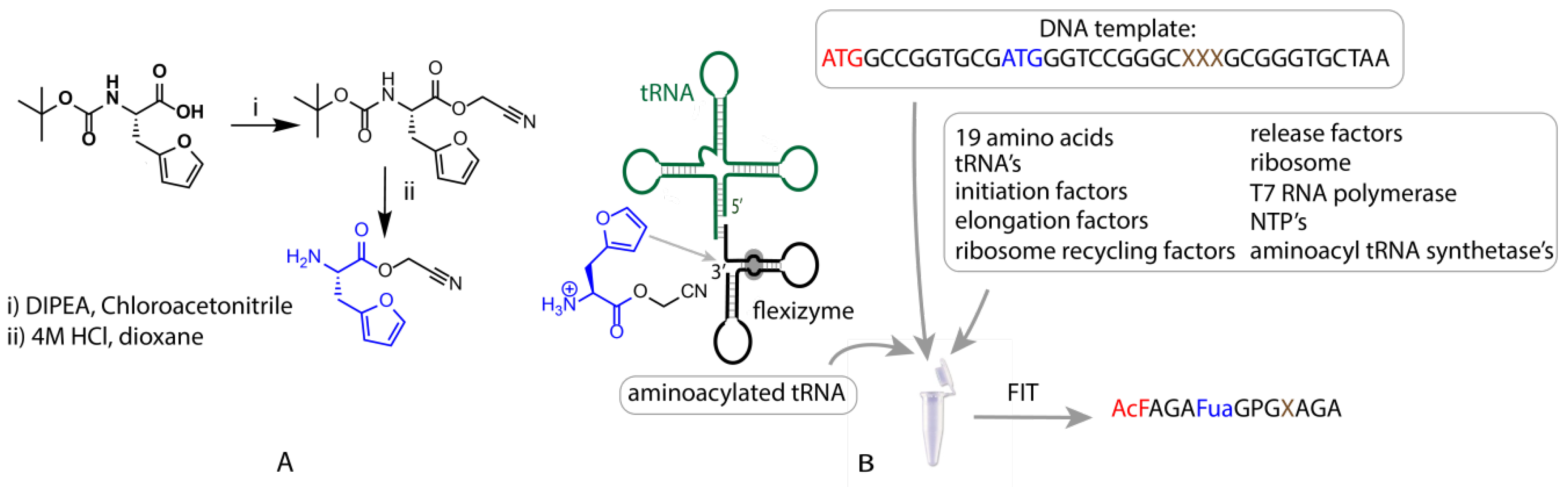 Biomedicines 06 00099 g002 Biomedicines 06 00099 g002