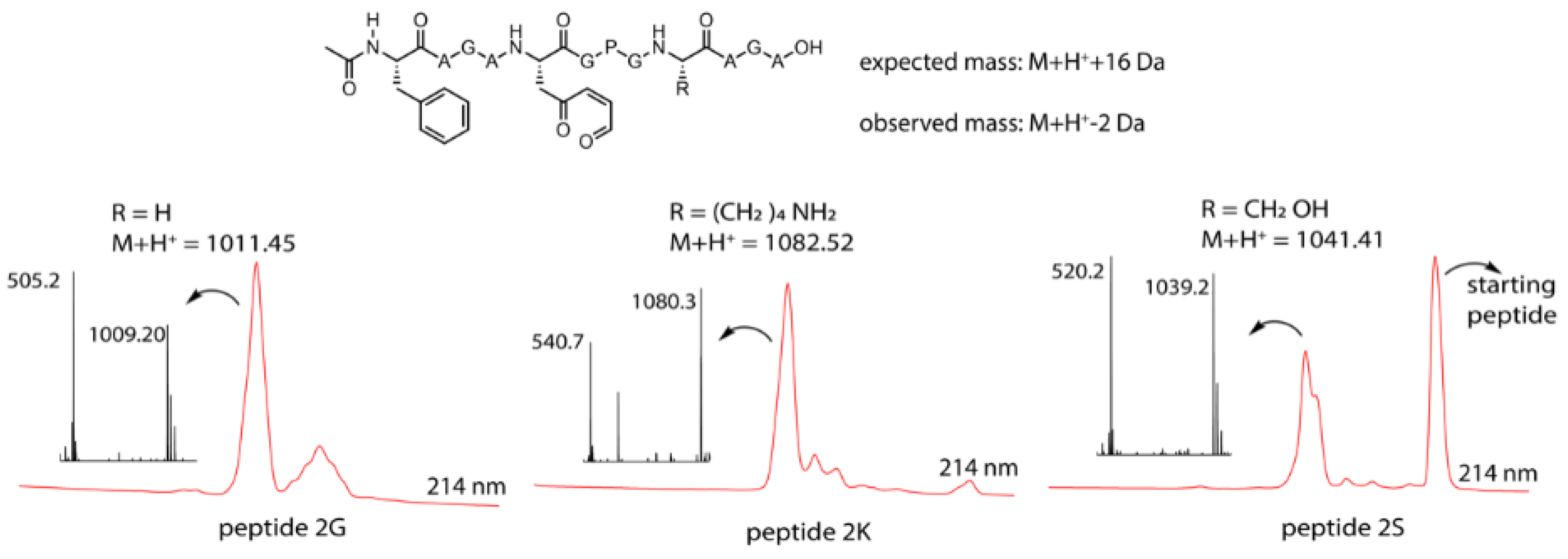 Biomedicines 06 00099 g003 Biomedicines 06 00099 g003
