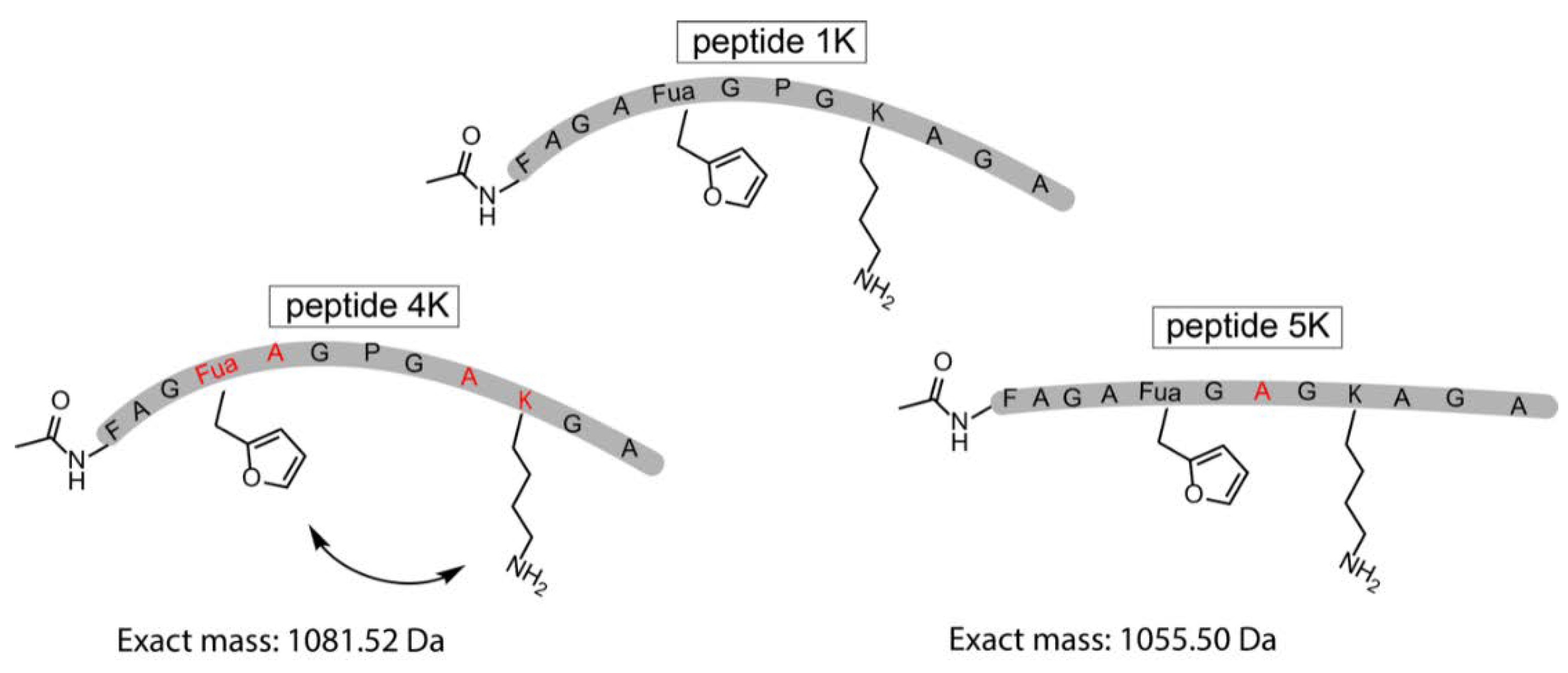 Biomedicines 06 00099 g005 Biomedicines 06 00099 g005
