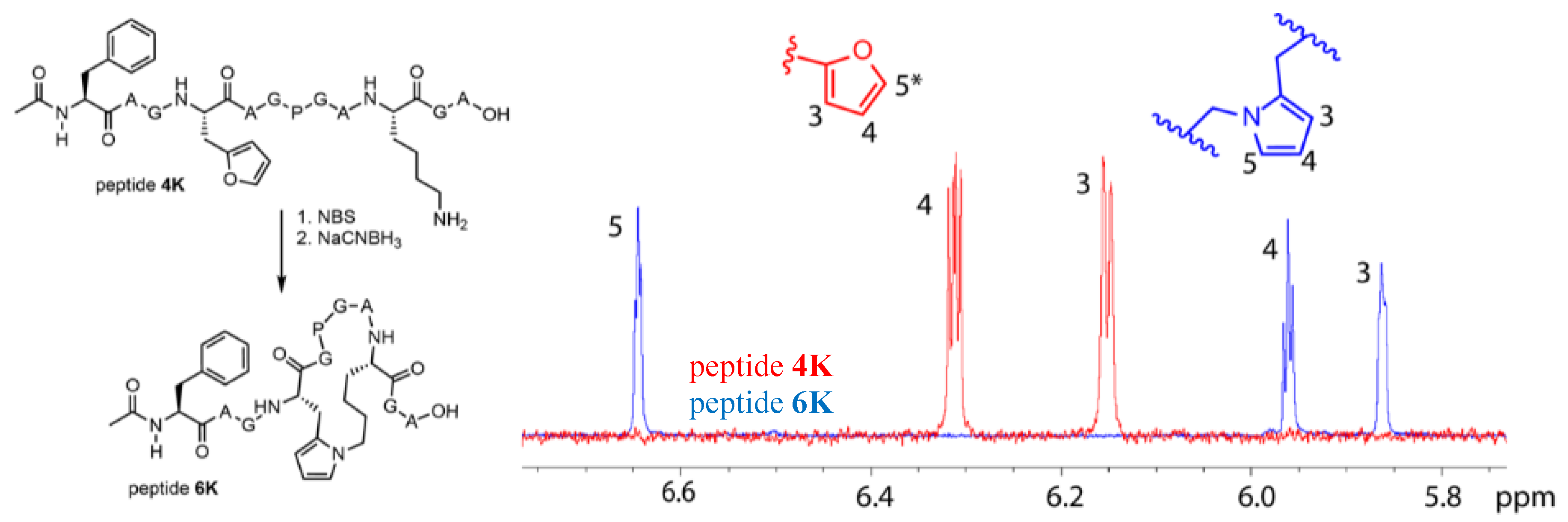 Biomedicines 06 00099 g006 Biomedicines 06 00099 g006