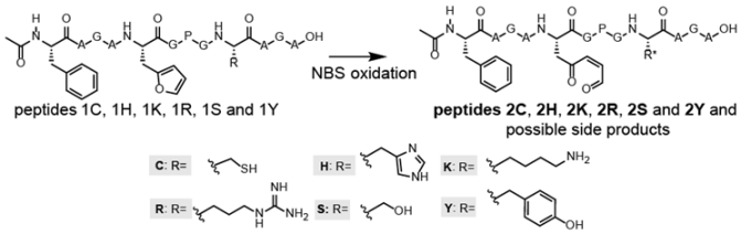 Biomedicines 06 00099 i001 Biomedicines 06 00099 i001