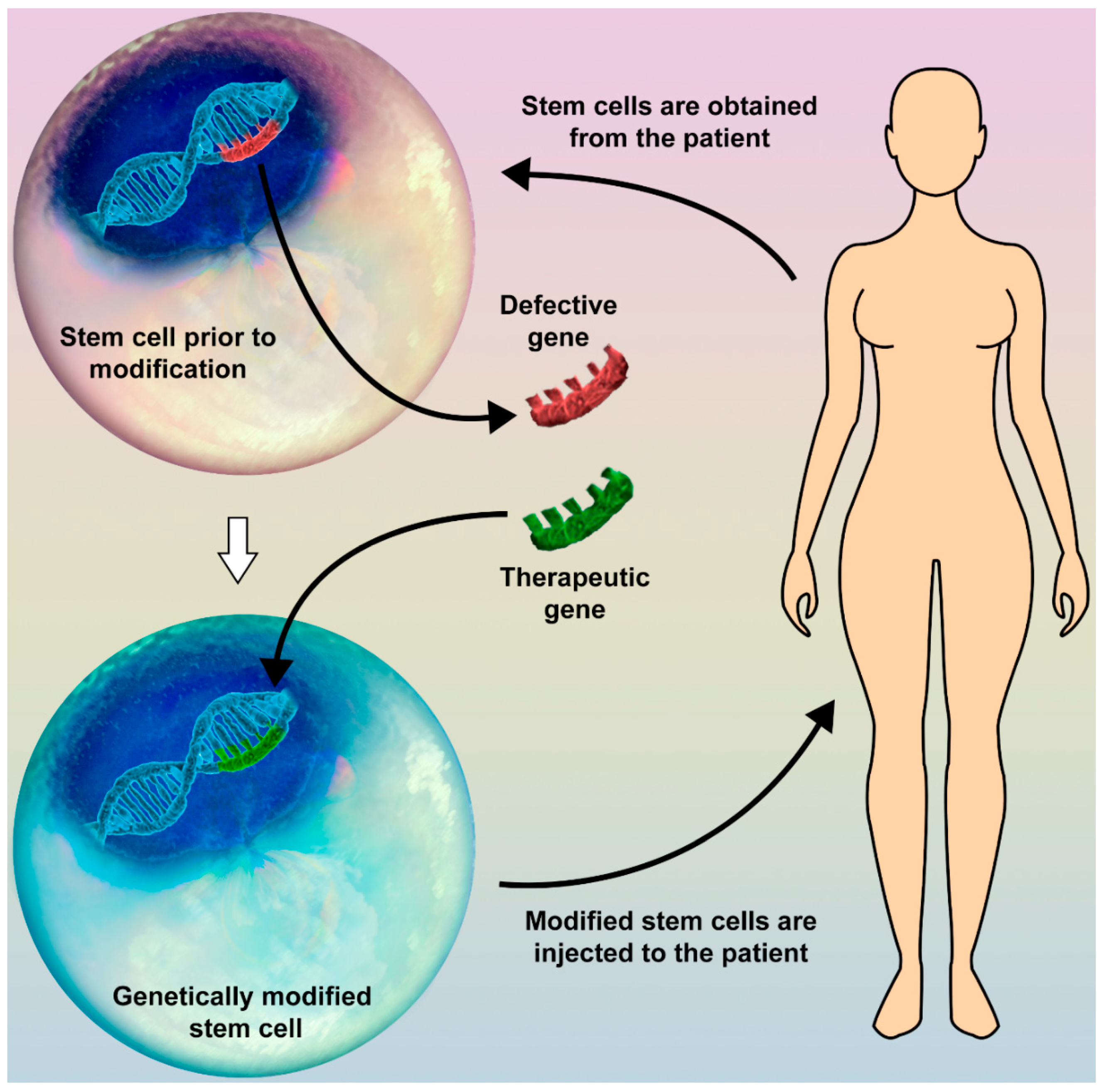 Biomedicines 06 00102 g001