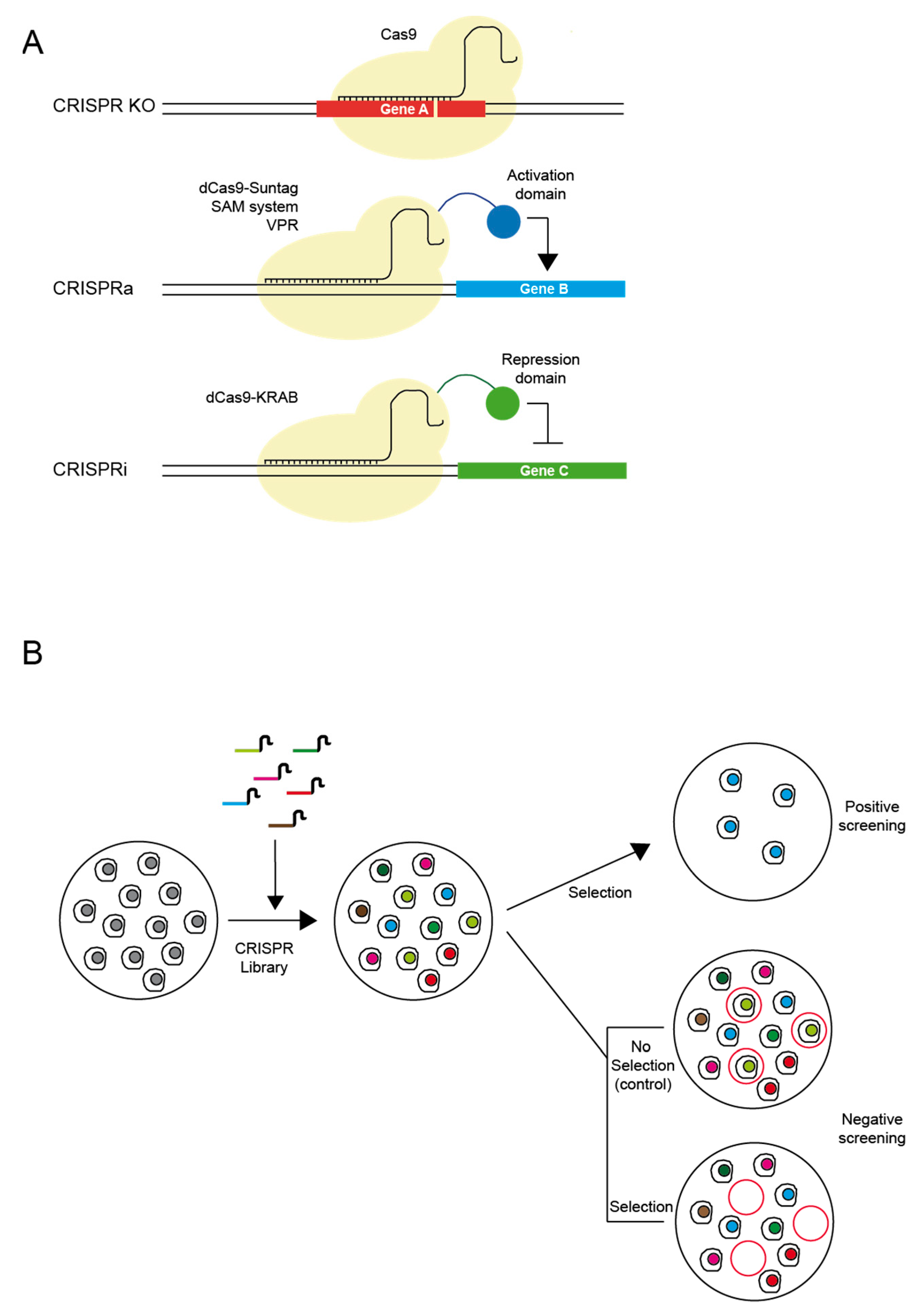 Biomedicines 06 00105 g002