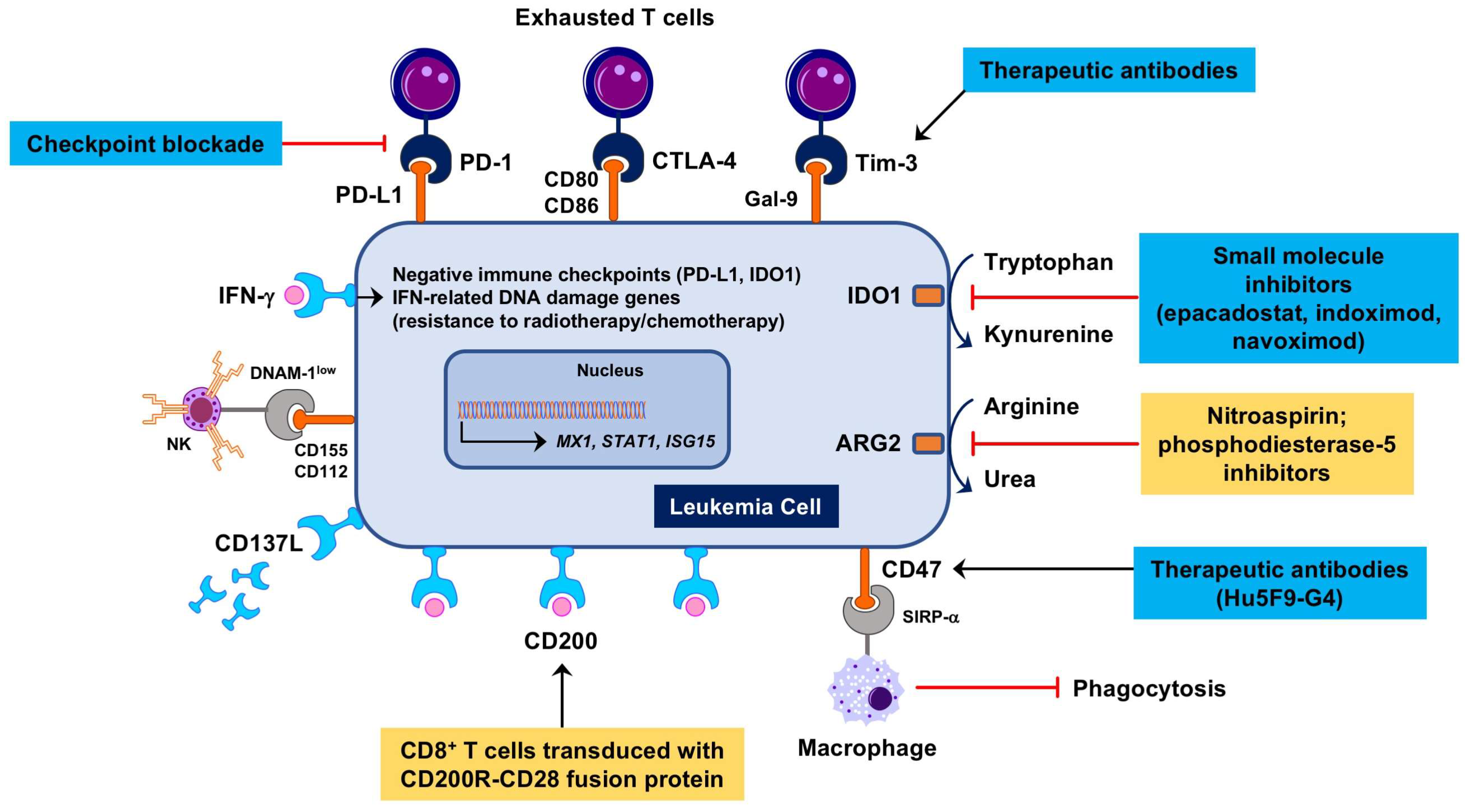 Biomedicines 06 00110 g001