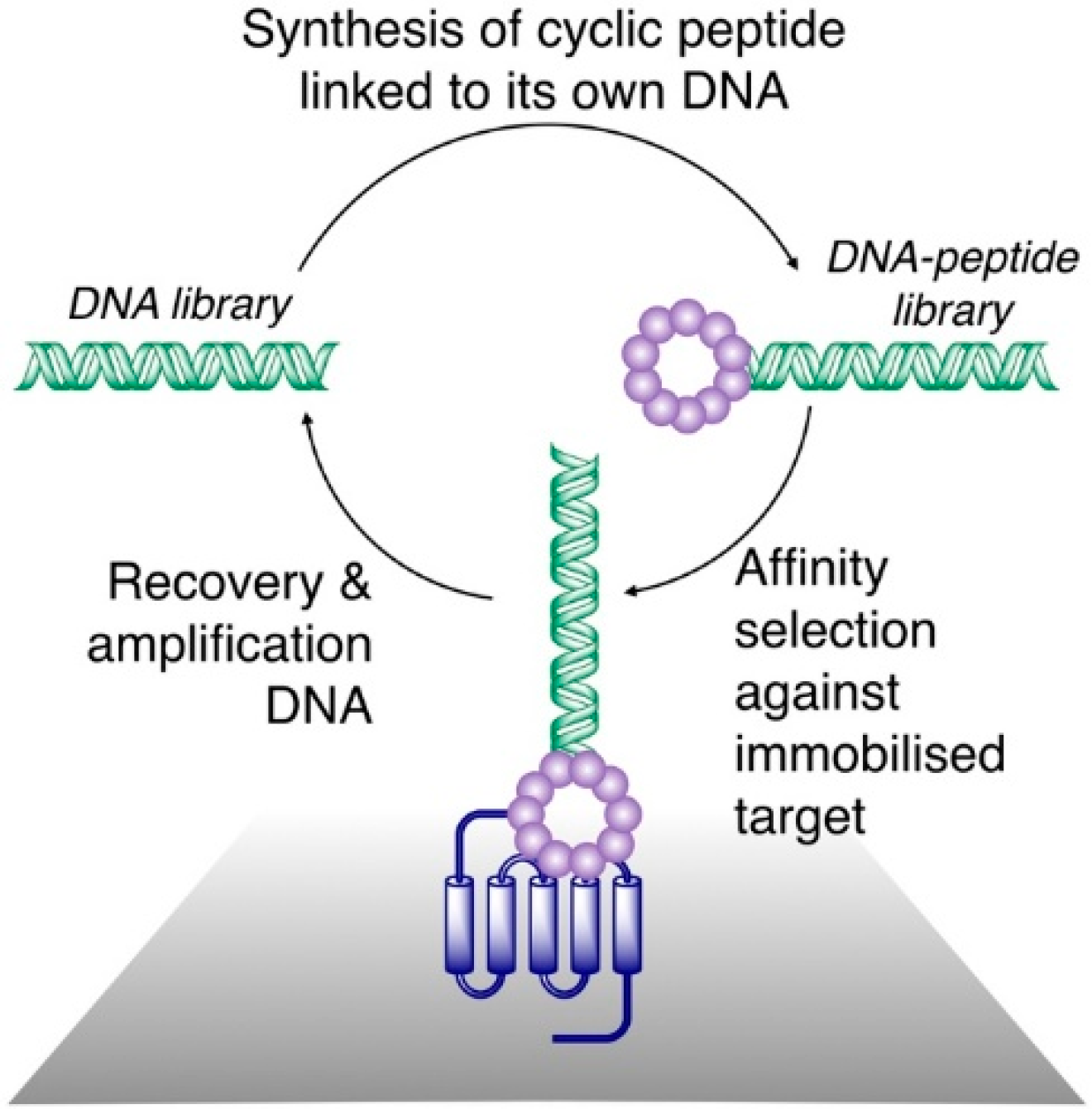 Biomedicines 06 00116 g001