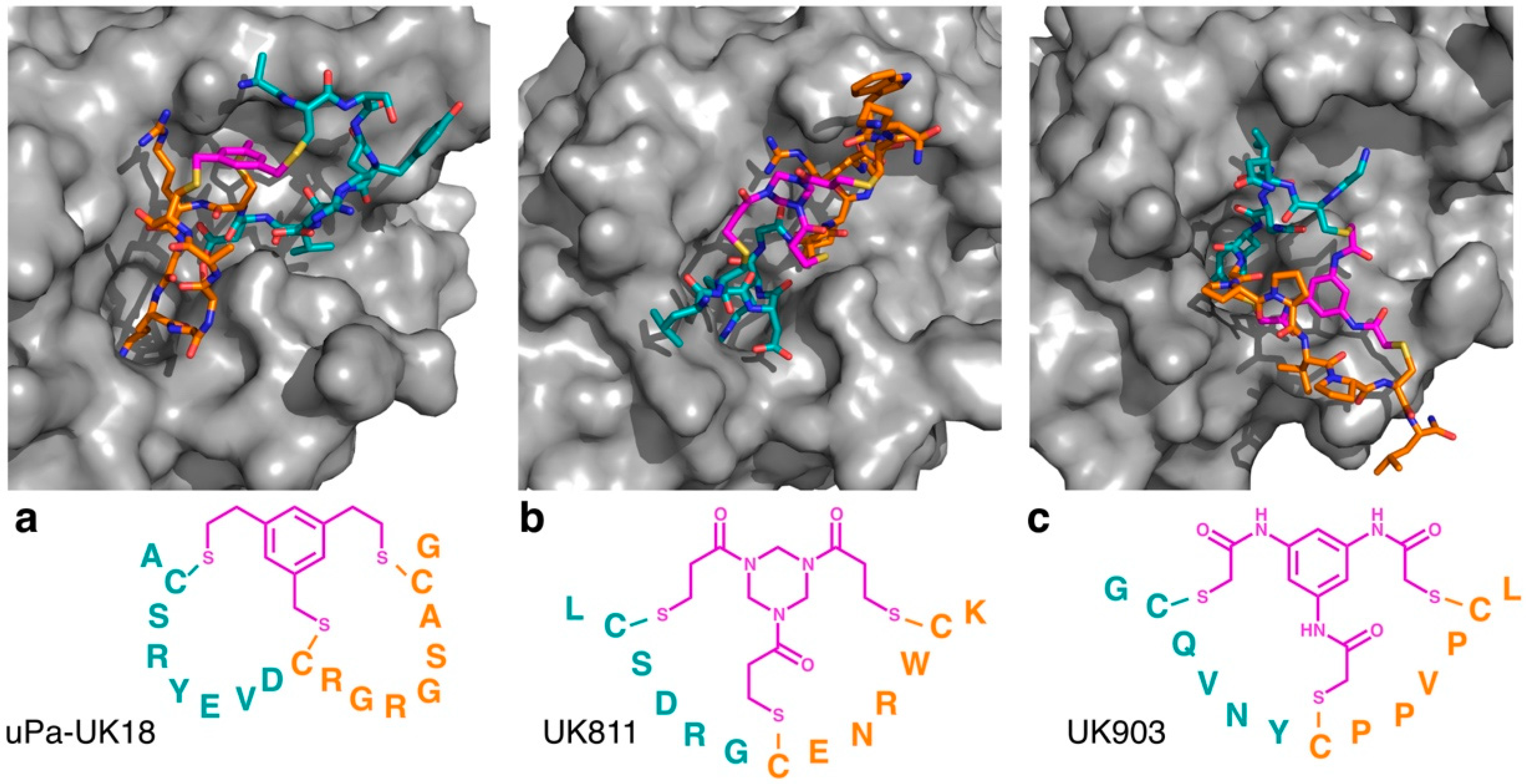 Biomedicines 06 00116 g002
