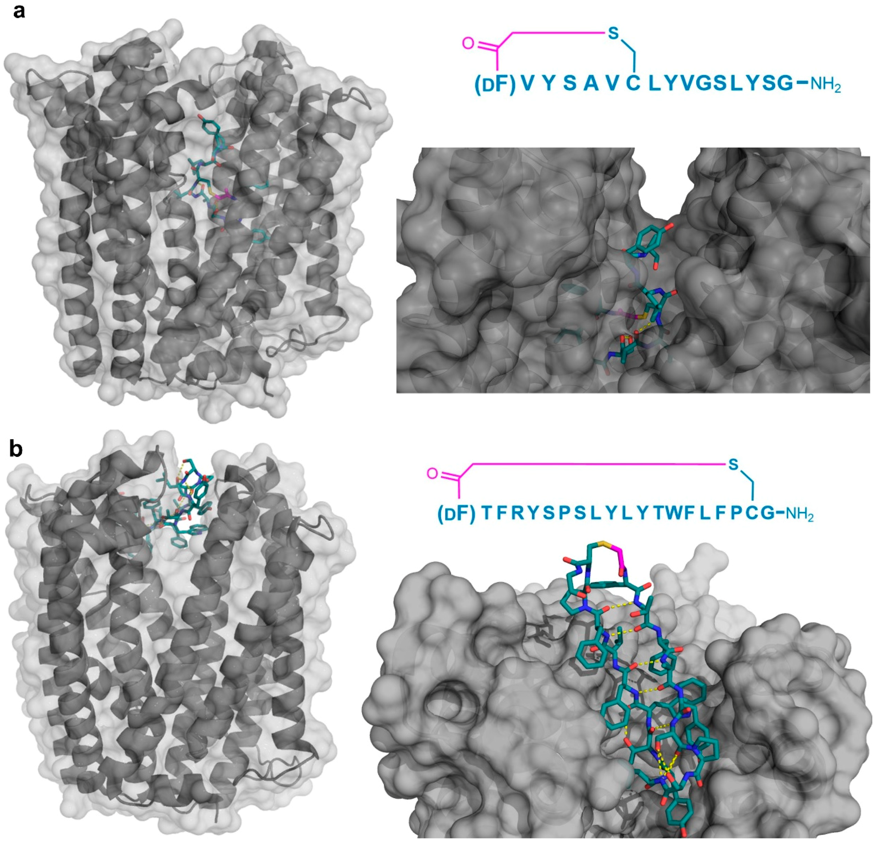 Biomedicines 06 00116 g004