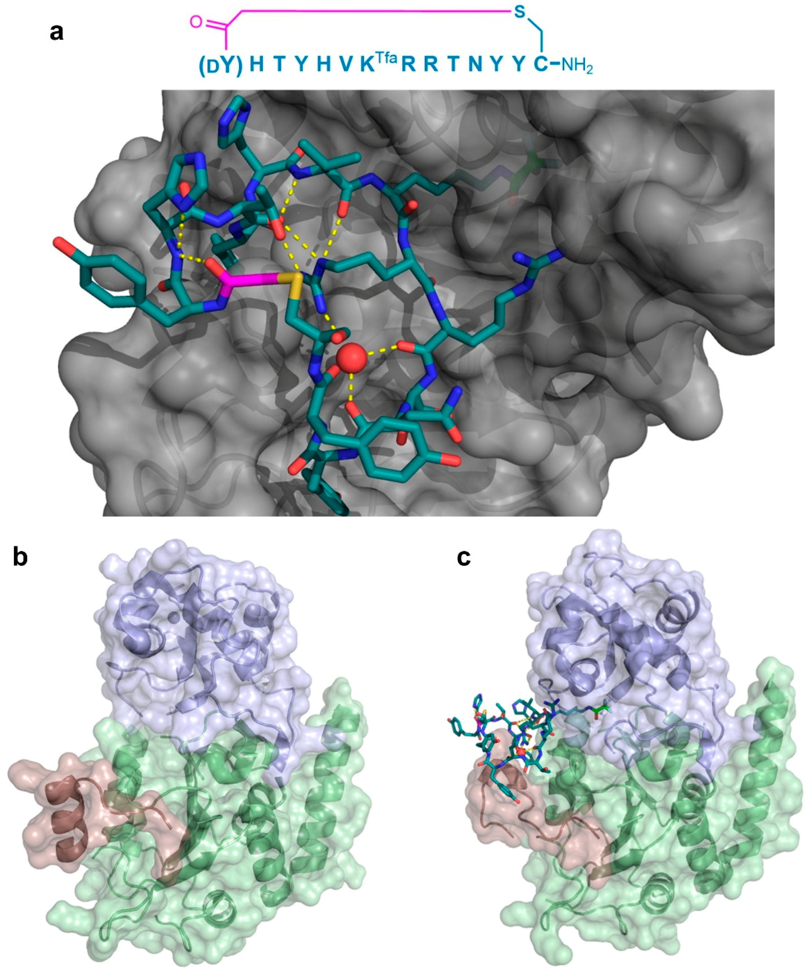 Biomedicines 06 00116 g007