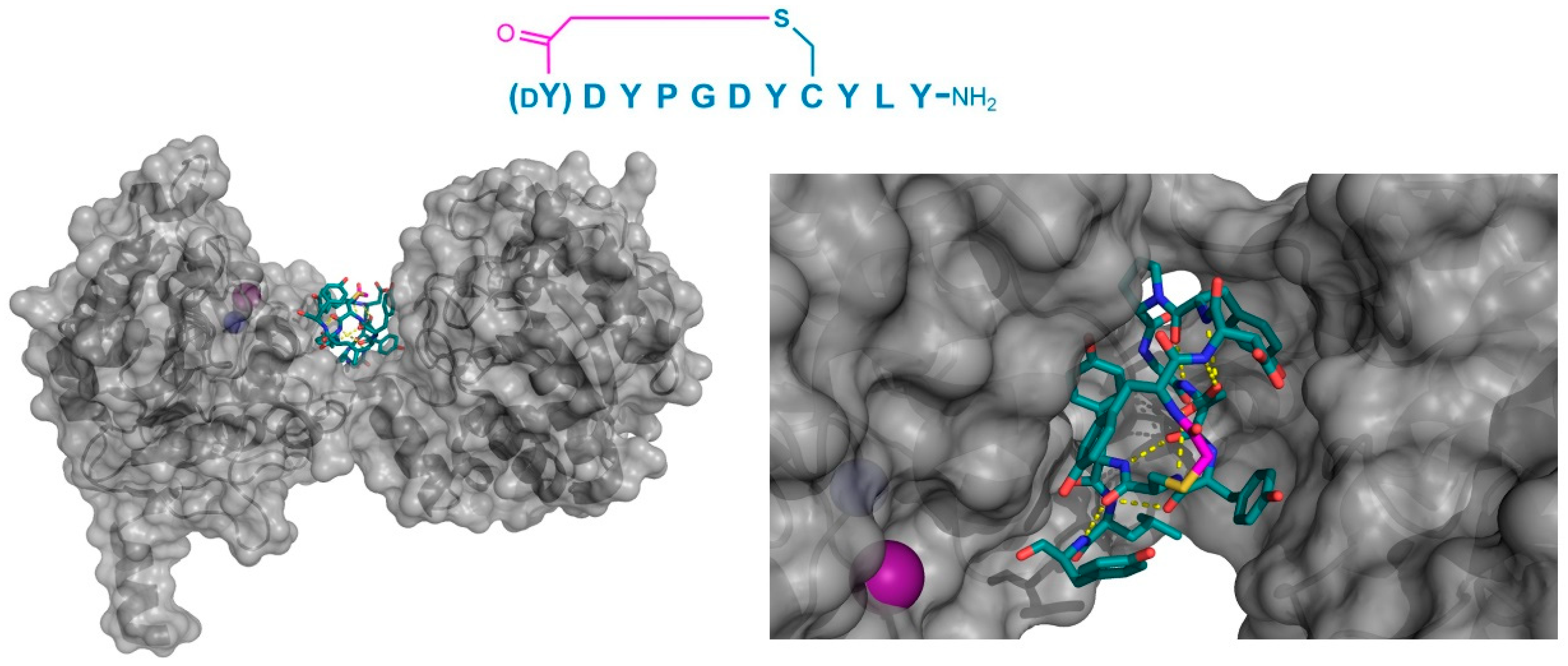 Biomedicines 06 00116 g008