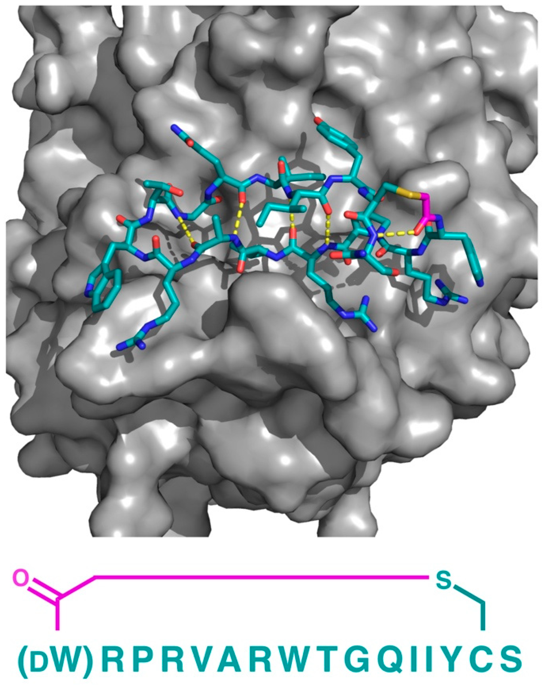 Biomedicines 06 00116 g010