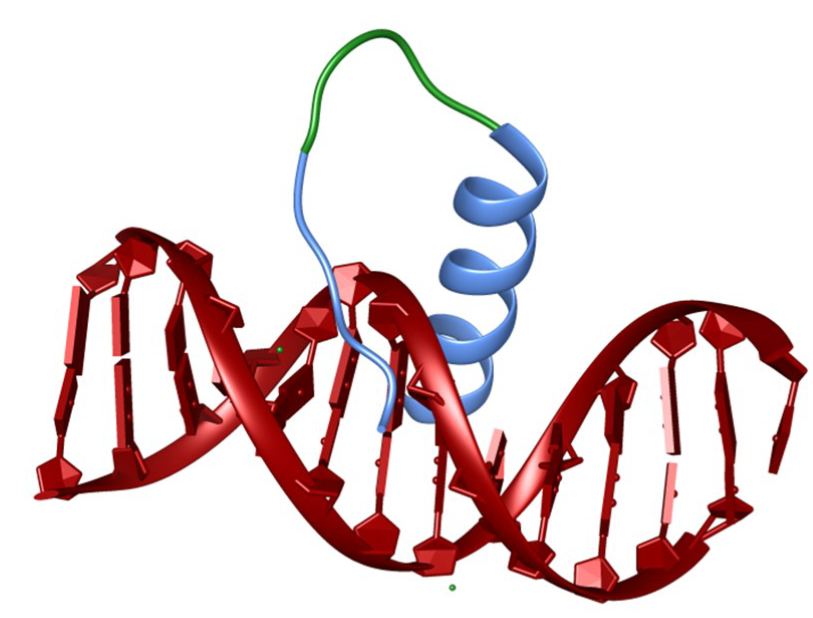 Biomedicines 06 00118 g004 Biomedicines 06 00118 g004