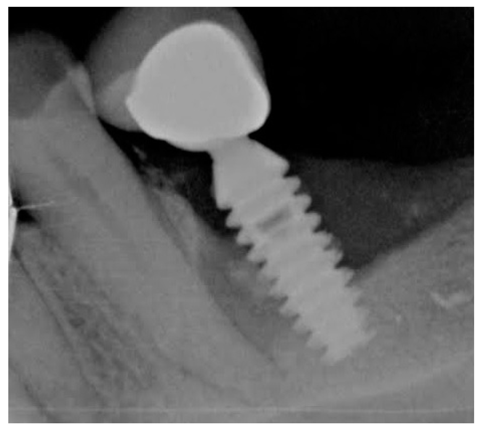 Biomedicines 07 00012 g002