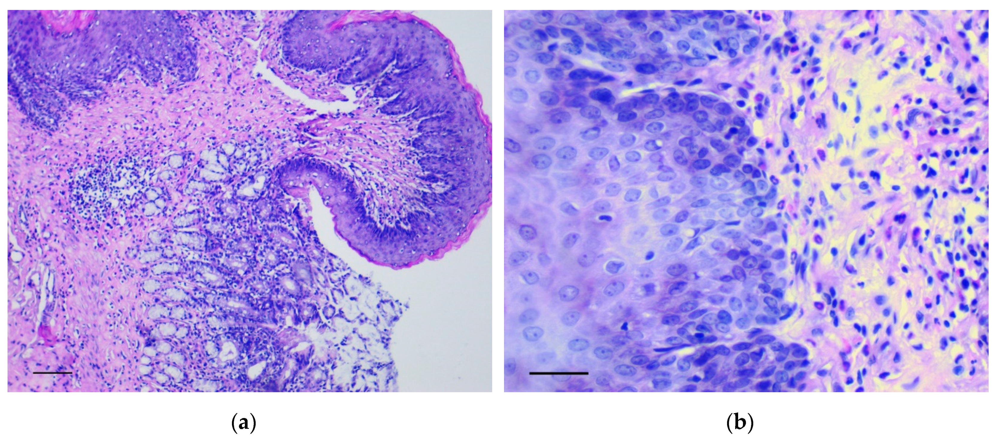 Biomedicines 07 00021 g001