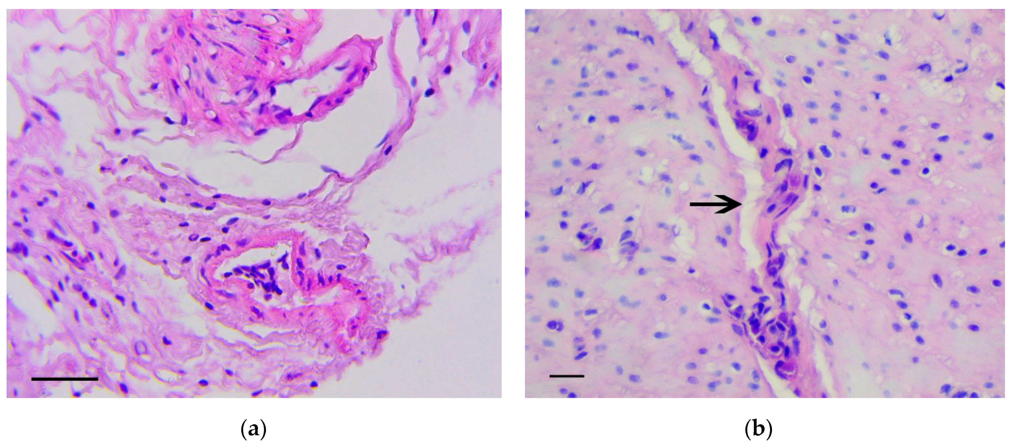 Biomedicines 07 00021 g004a