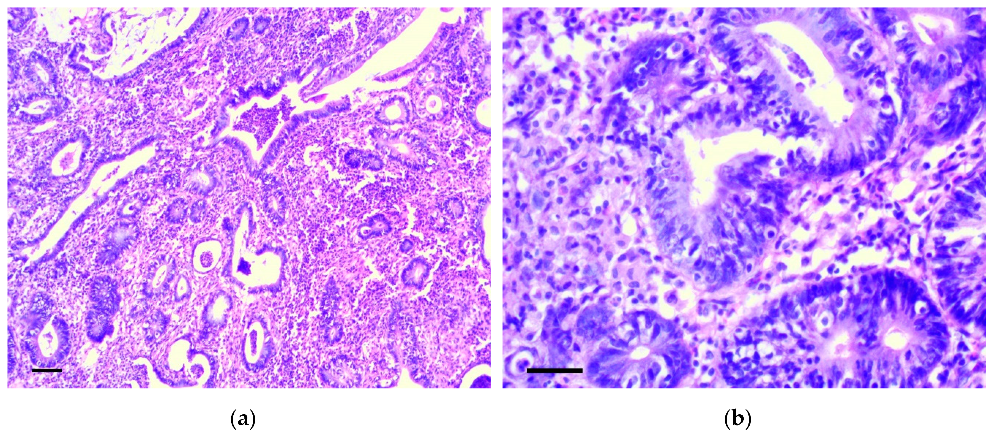 Biomedicines 07 00021 g006