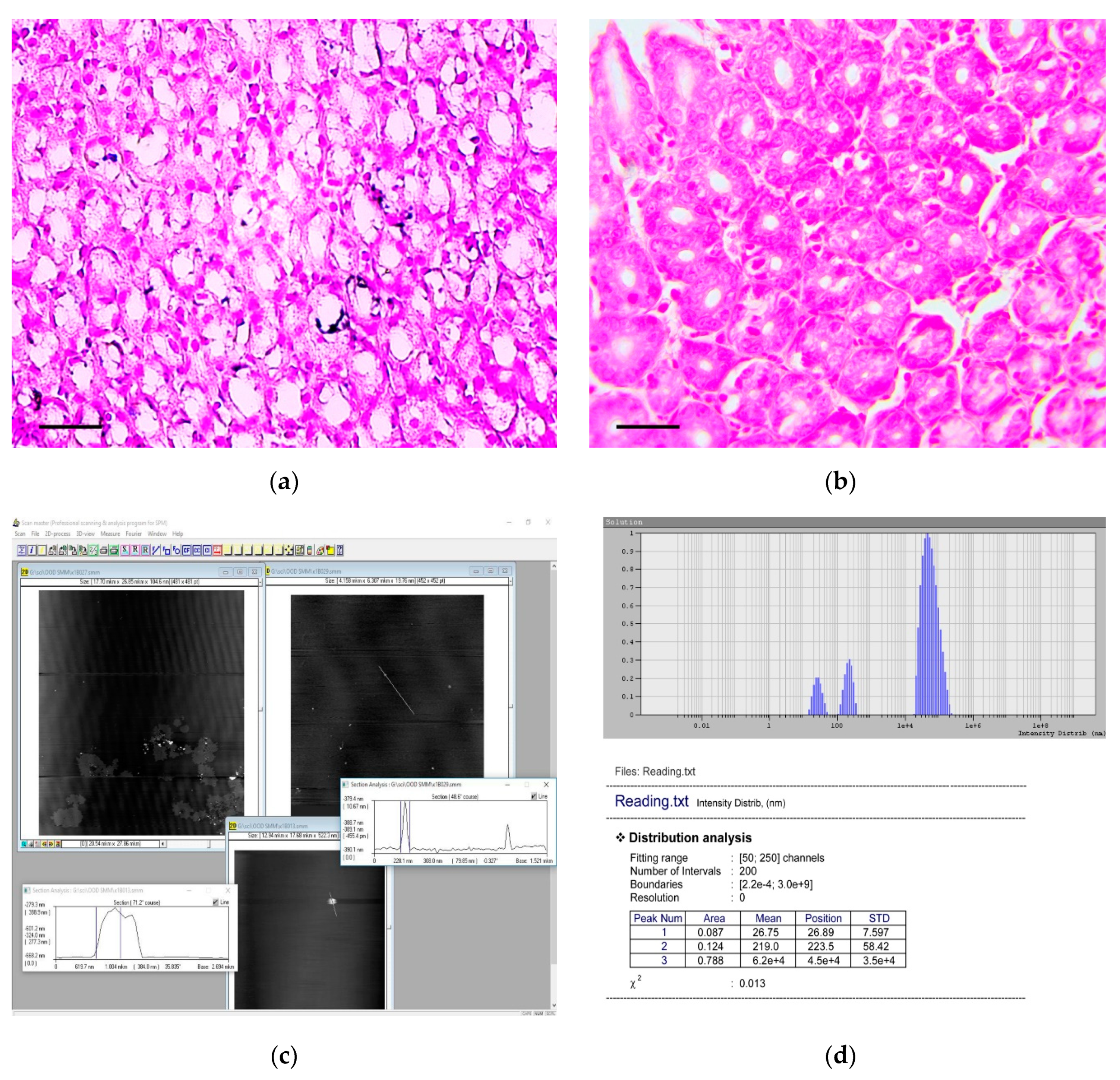 Biomedicines 07 00021 g007