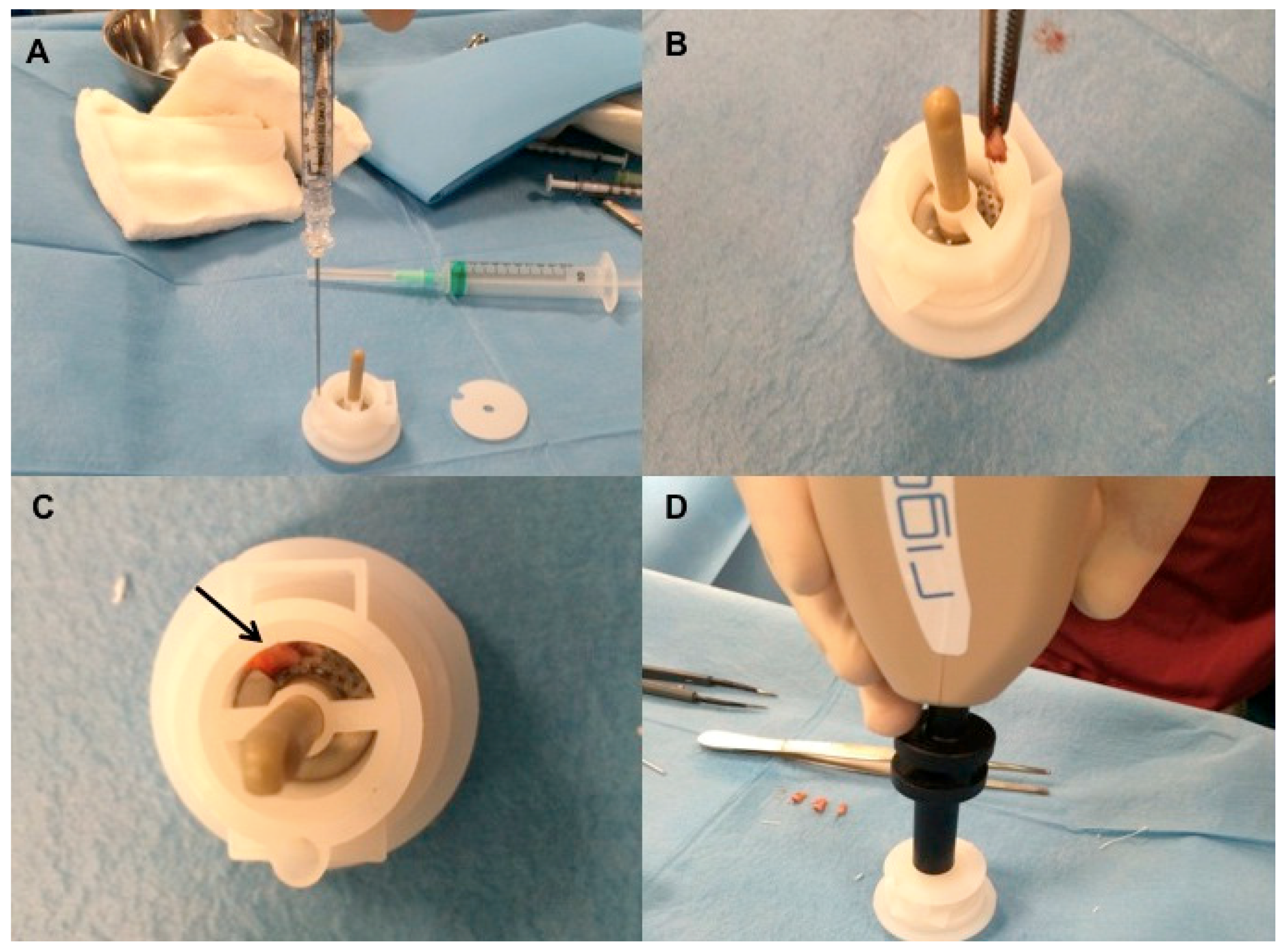 Biomedicines 07 00027 g003