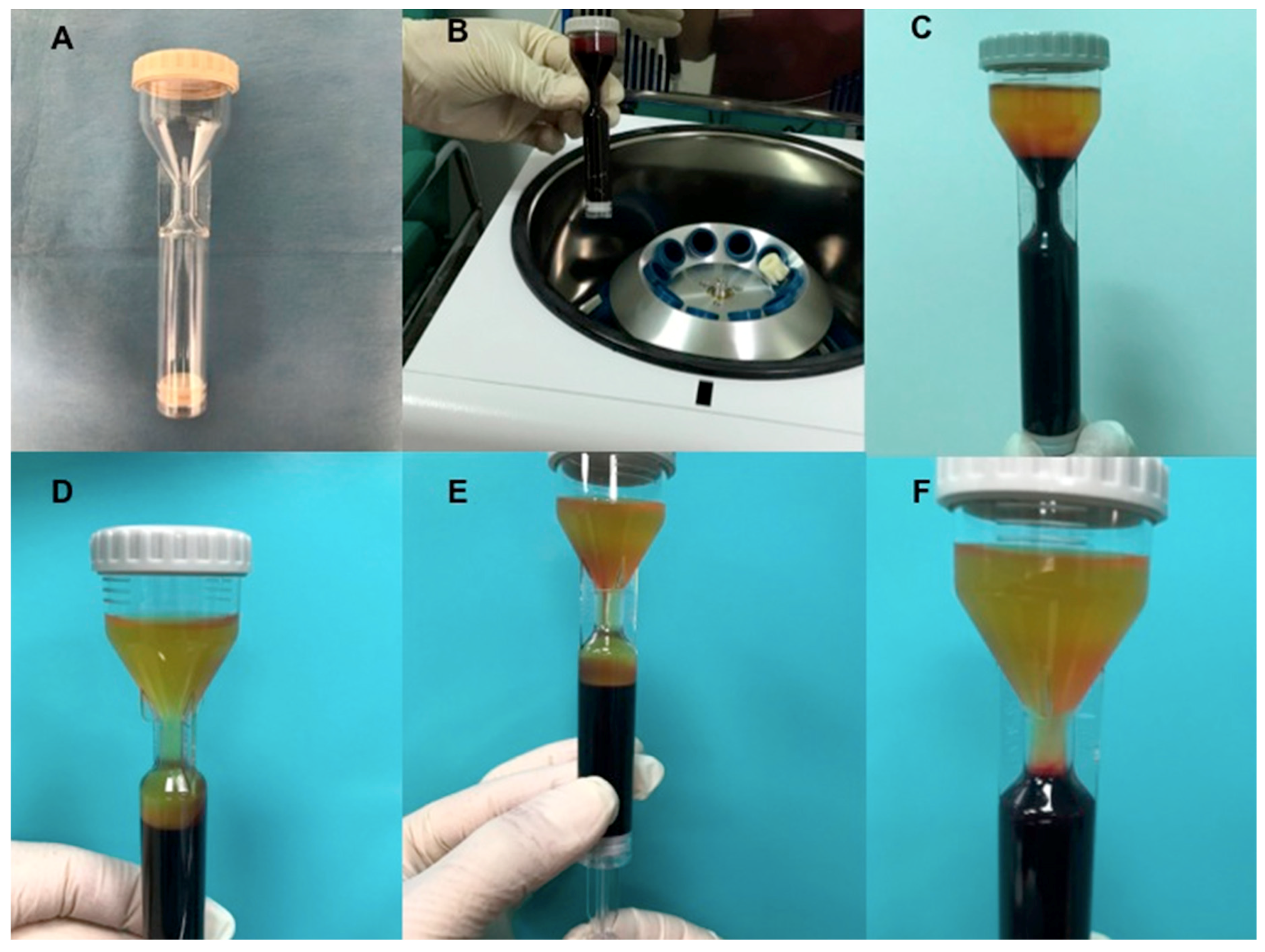 Biomedicines 07 00027 g004