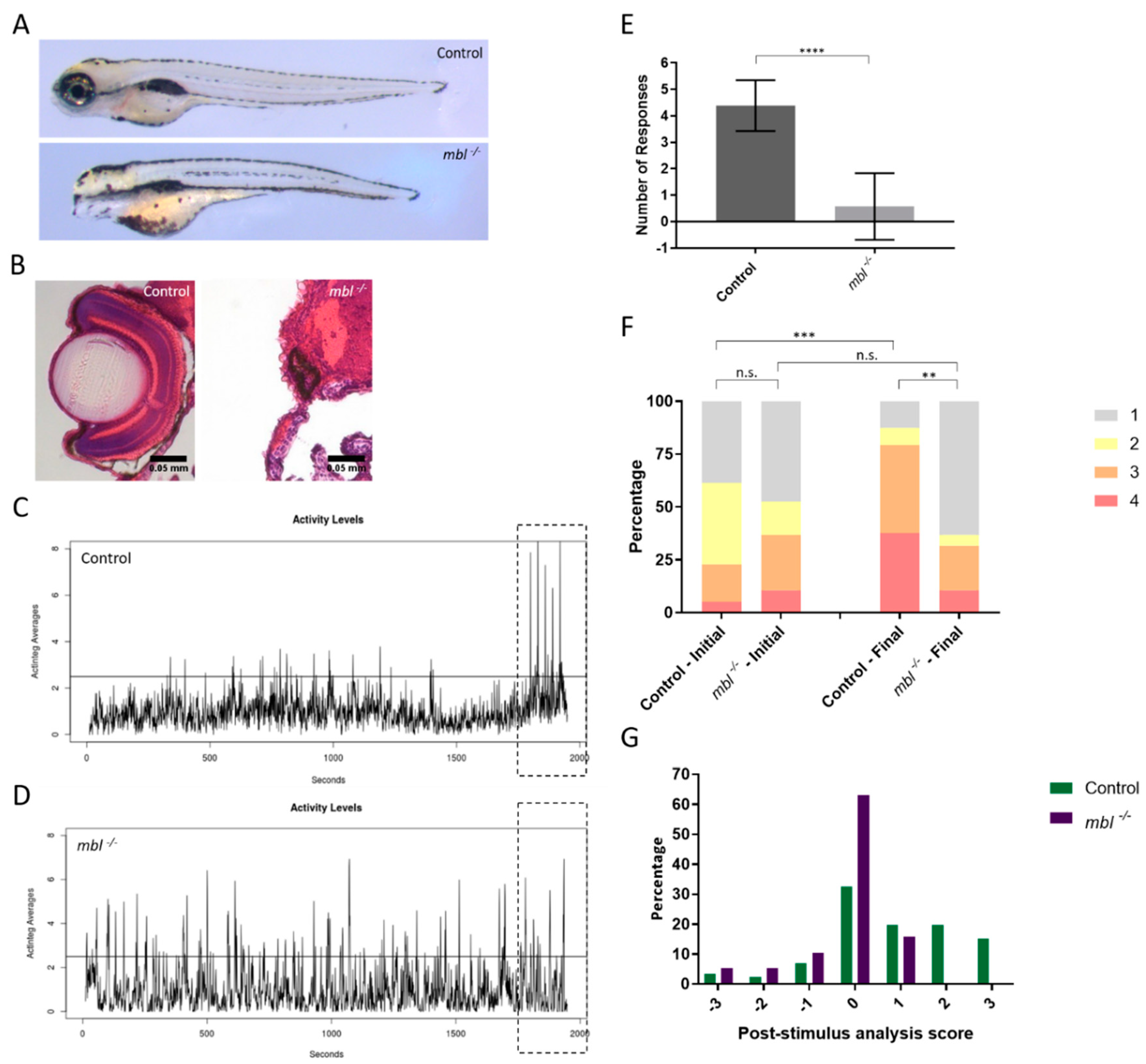 Biomedicines 07 00028 g003