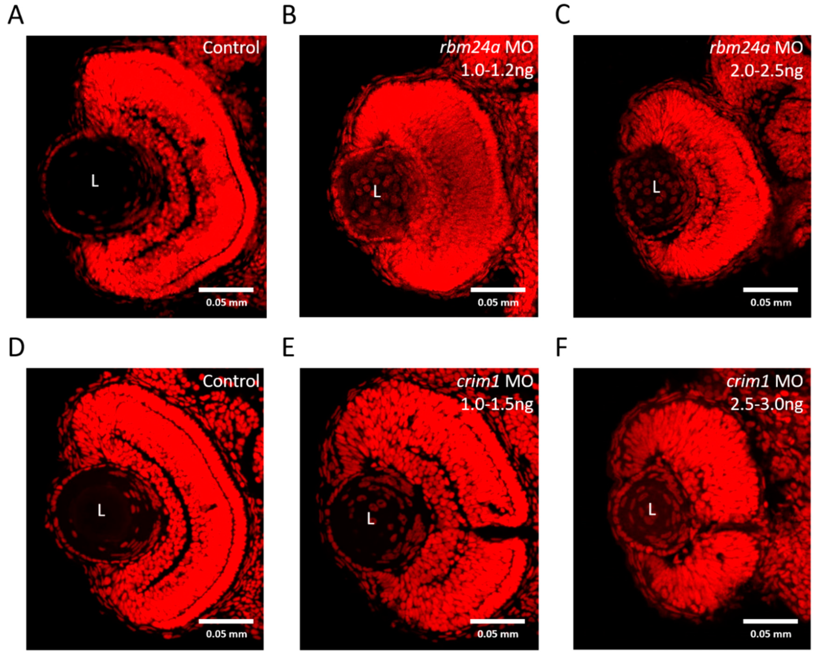 Biomedicines 07 00028 g007