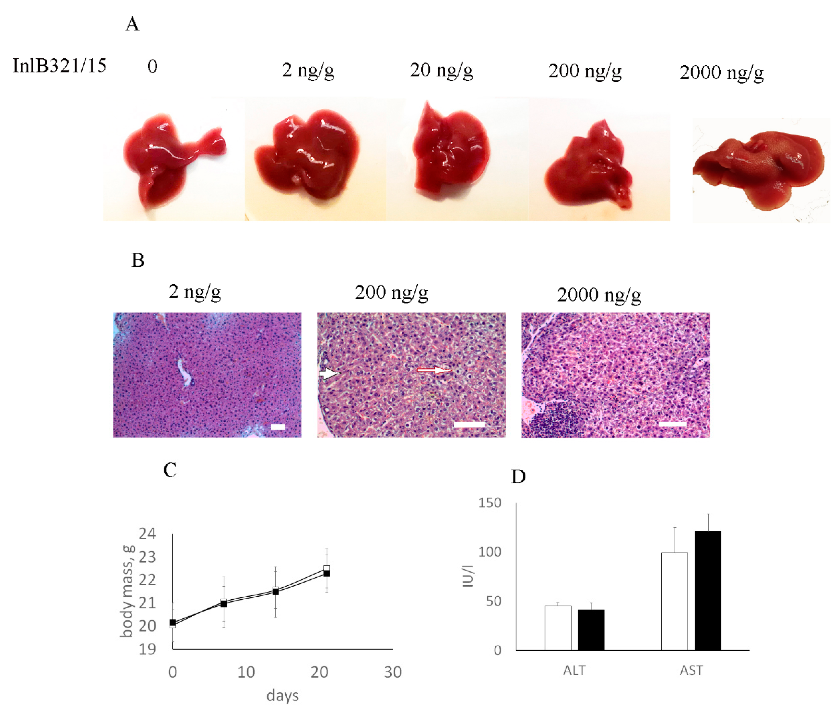 Biomedicines 07 00029 g002