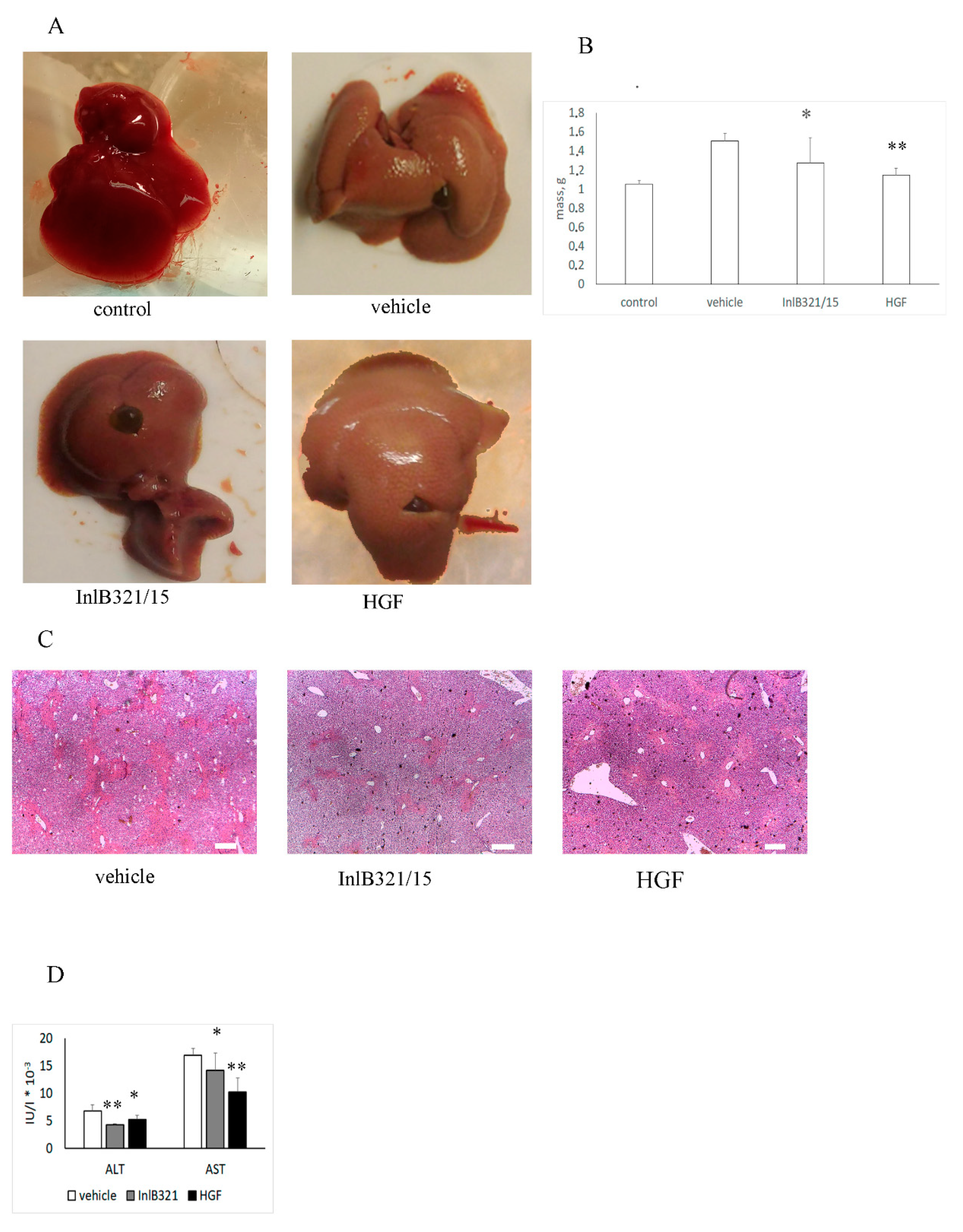 Biomedicines 07 00029 g003