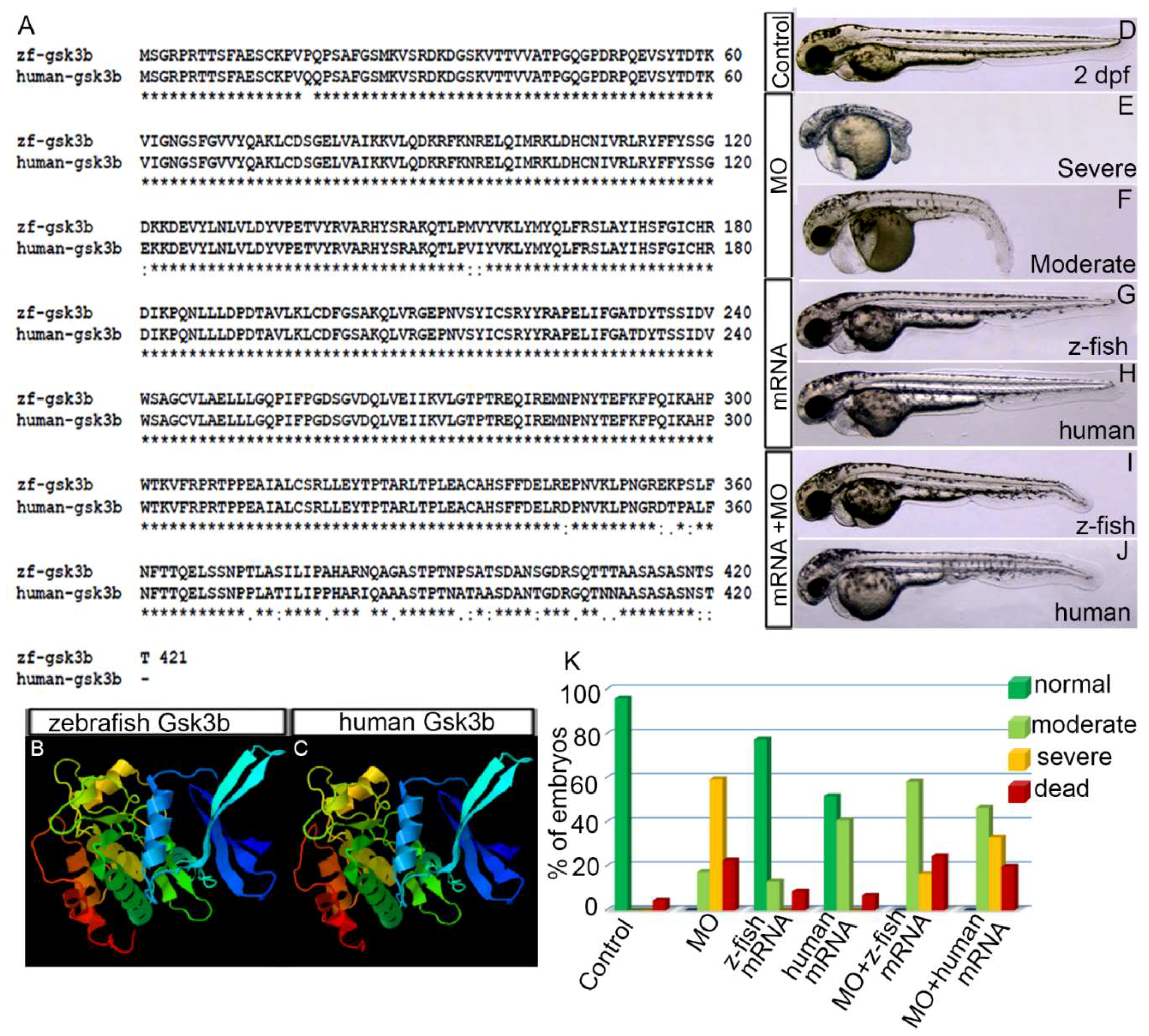 Biomedicines 07 00030 g001