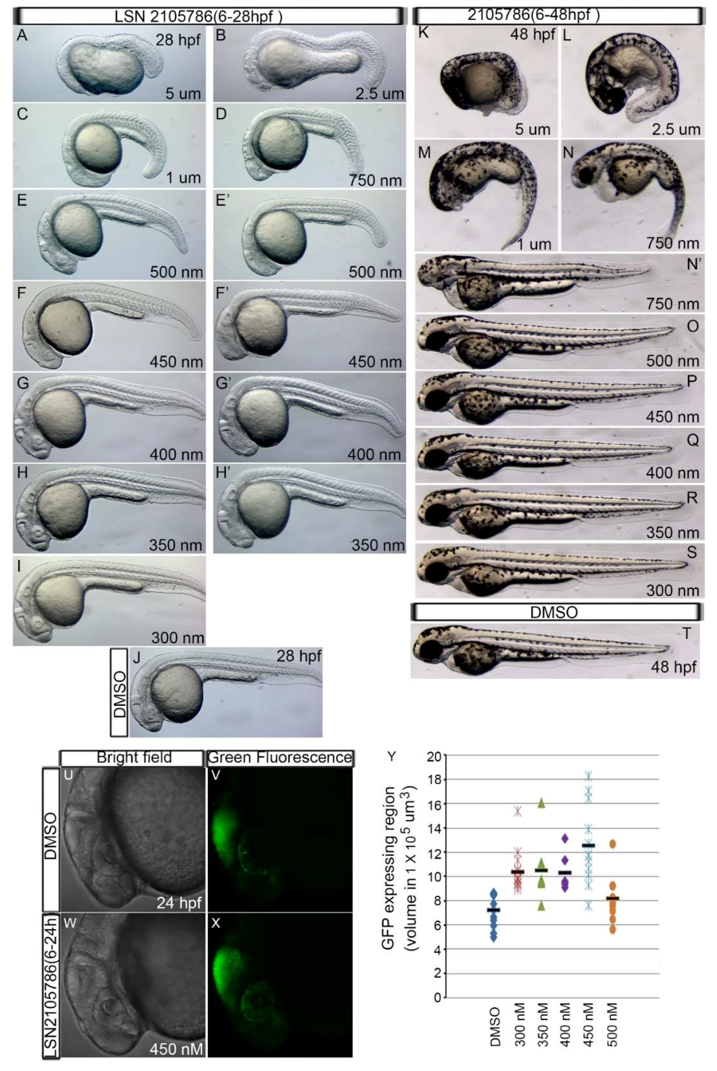 Biomedicines 07 00030 g002