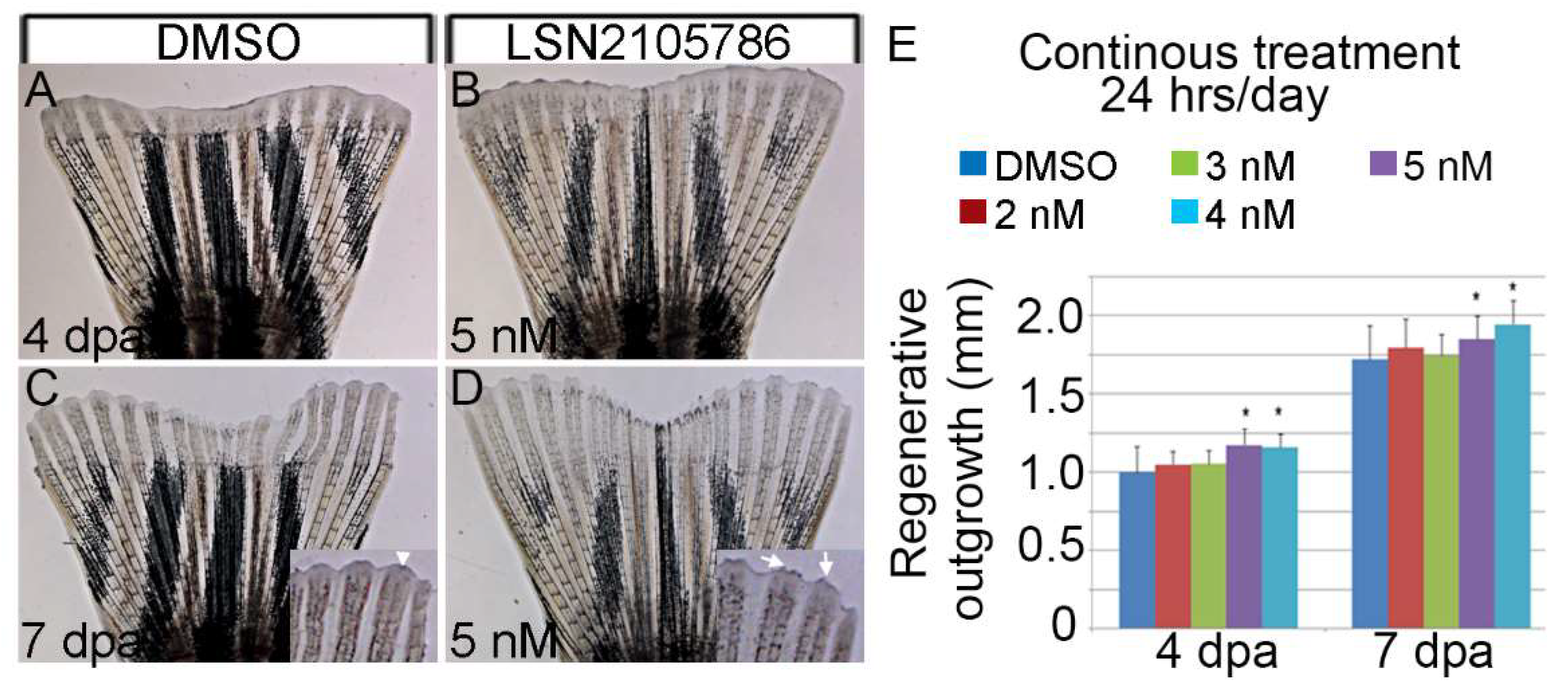 Biomedicines 07 00030 g003