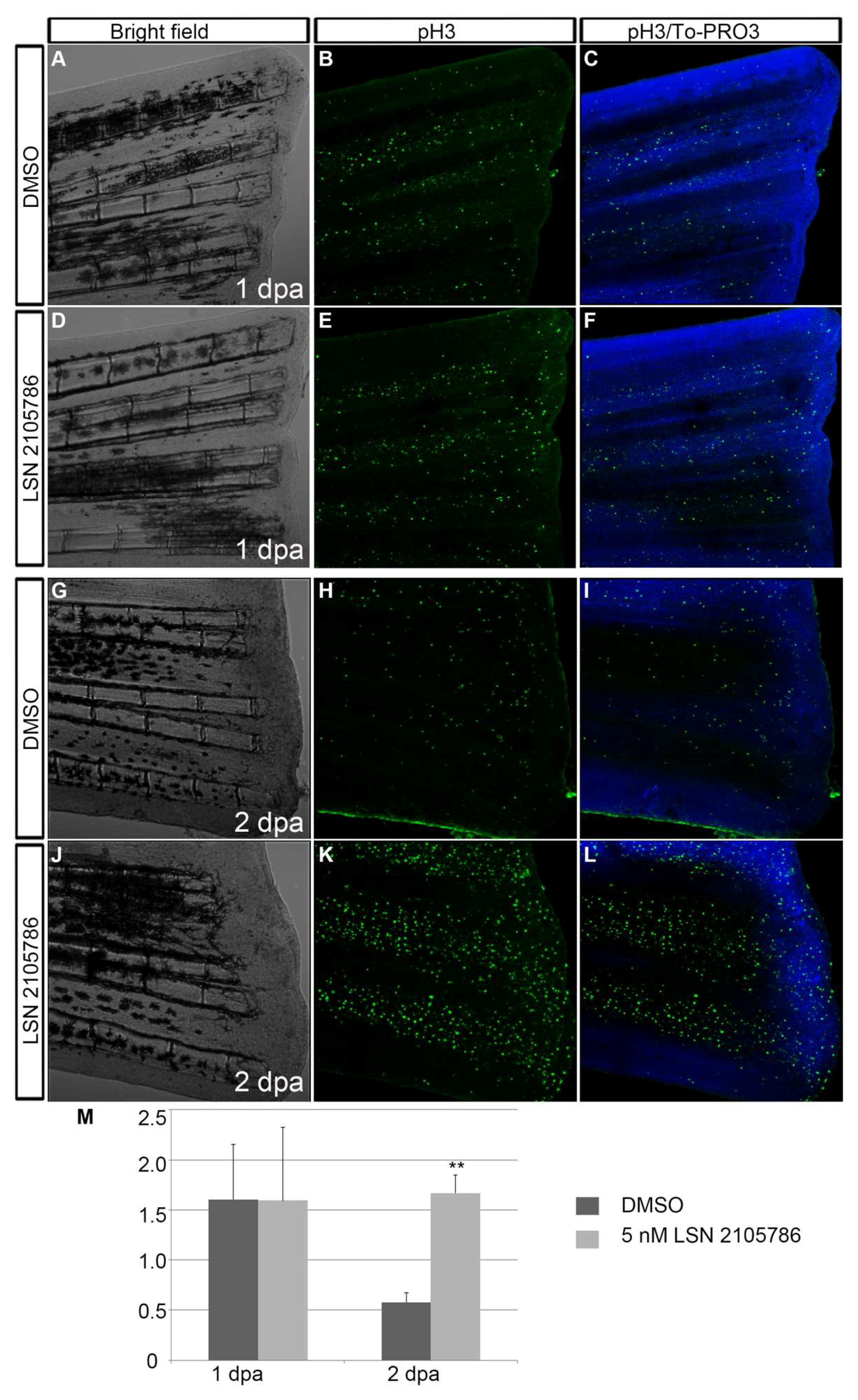 Biomedicines 07 00030 g005