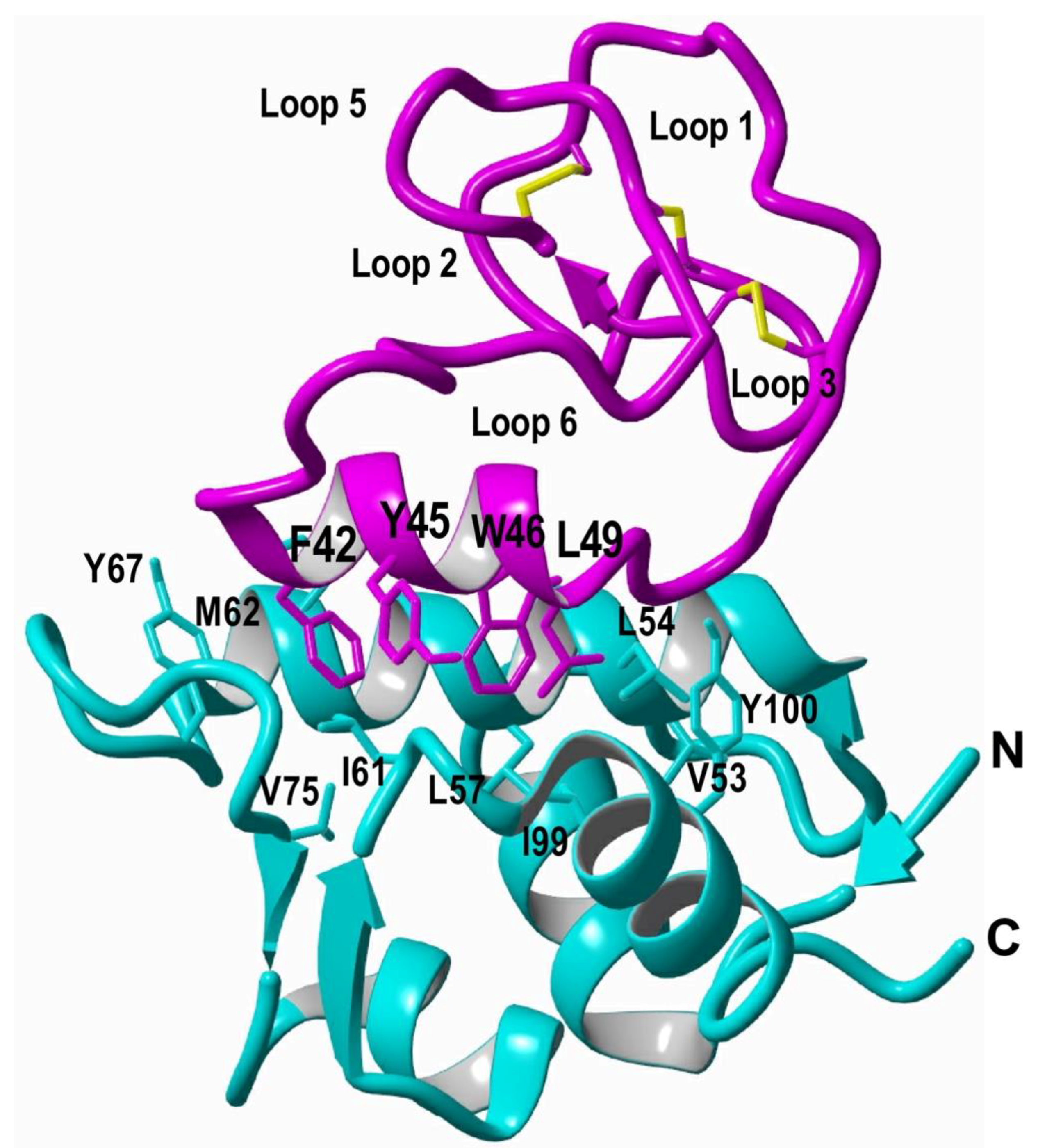 Biomedicines 07 00031 g003