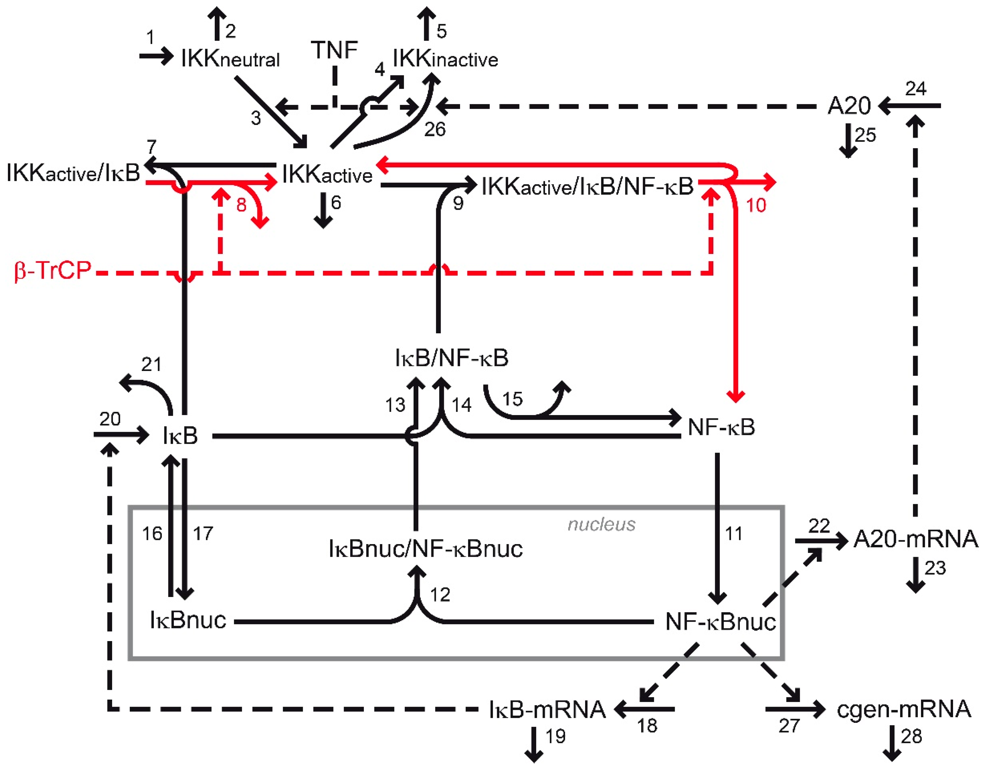 Biomedicines 07 00040 g001