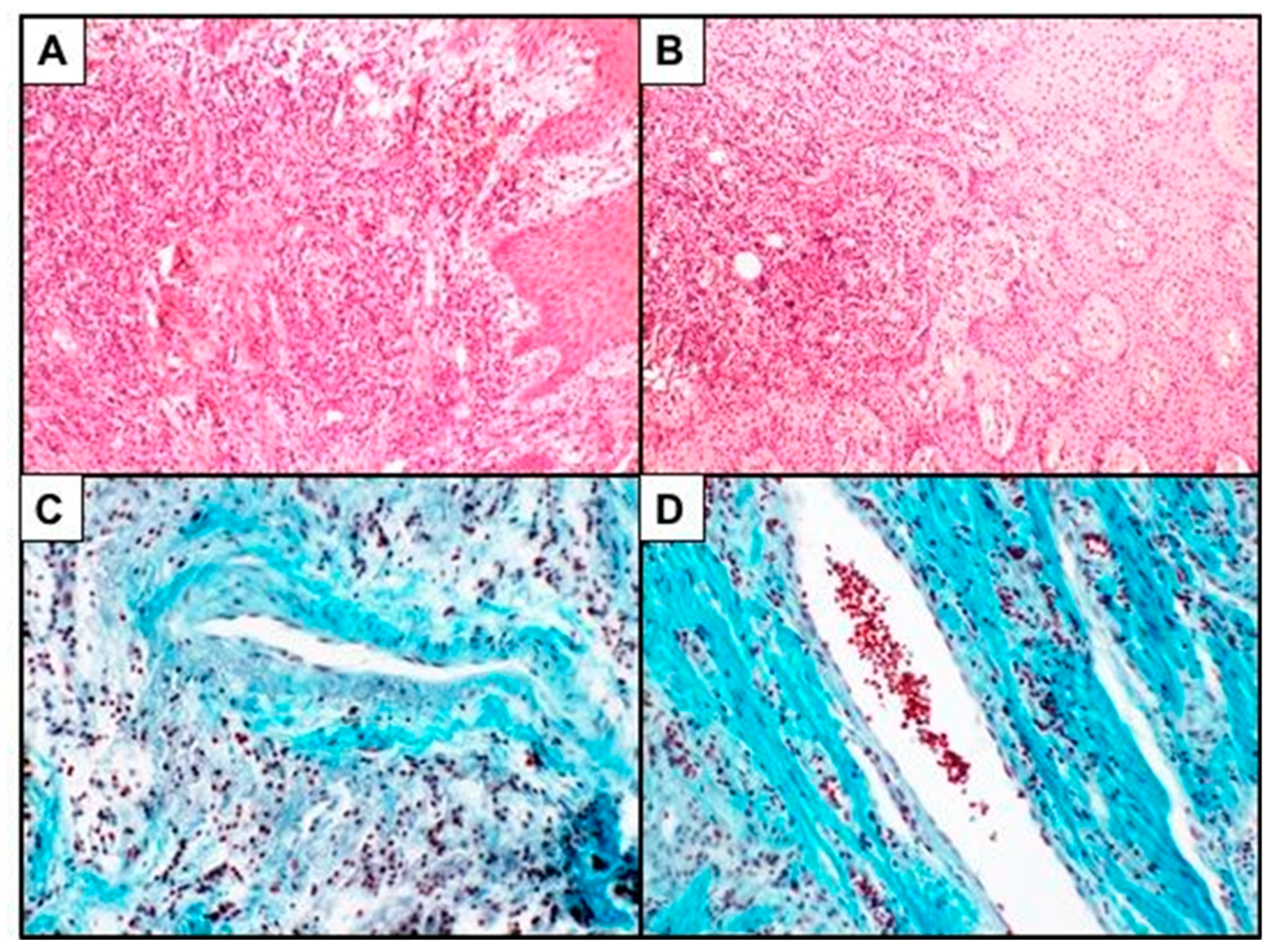 Biomedicines 07 00043 g001