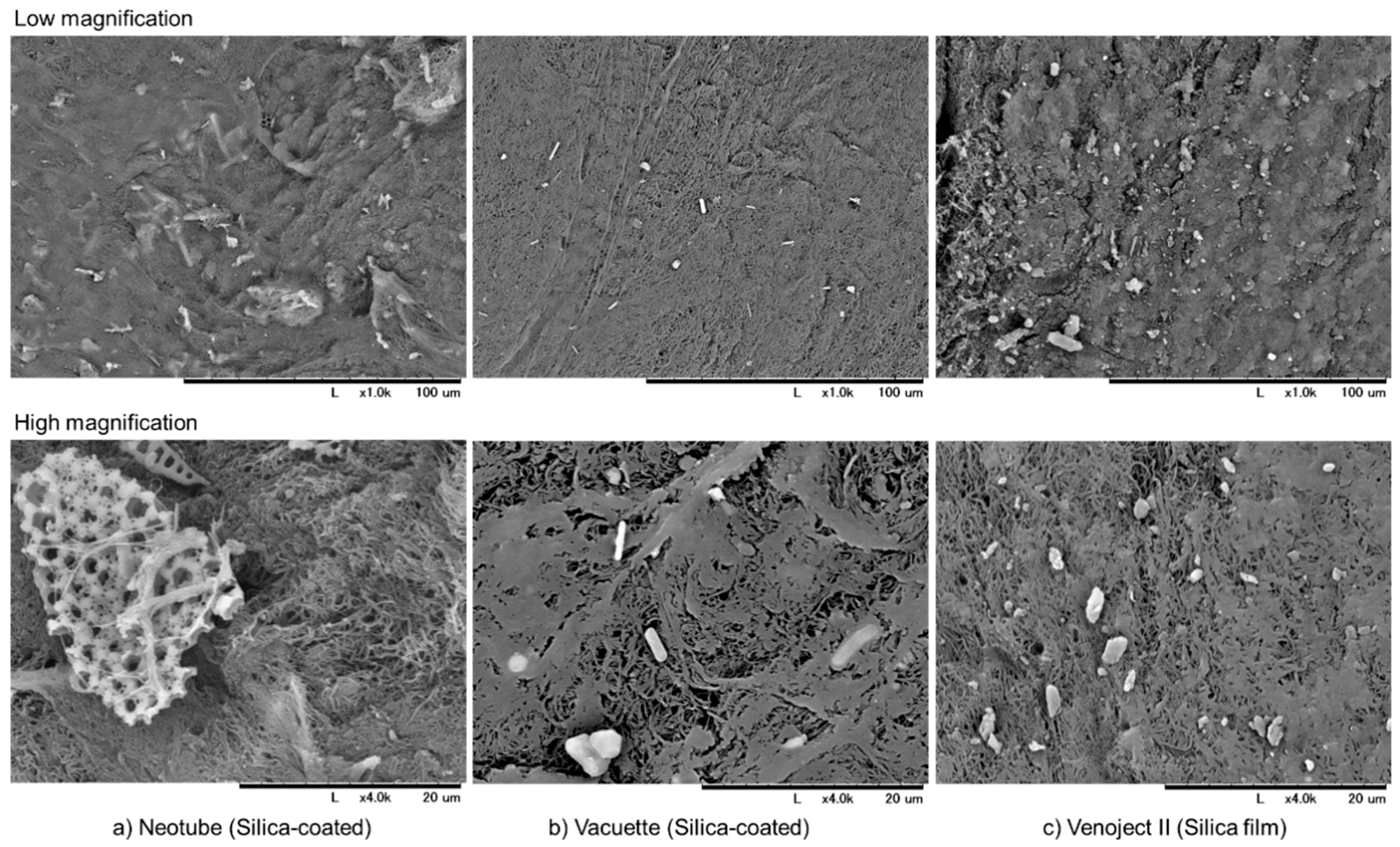 Biomedicines 07 00045 g004 Biomedicines 07 00045 g004