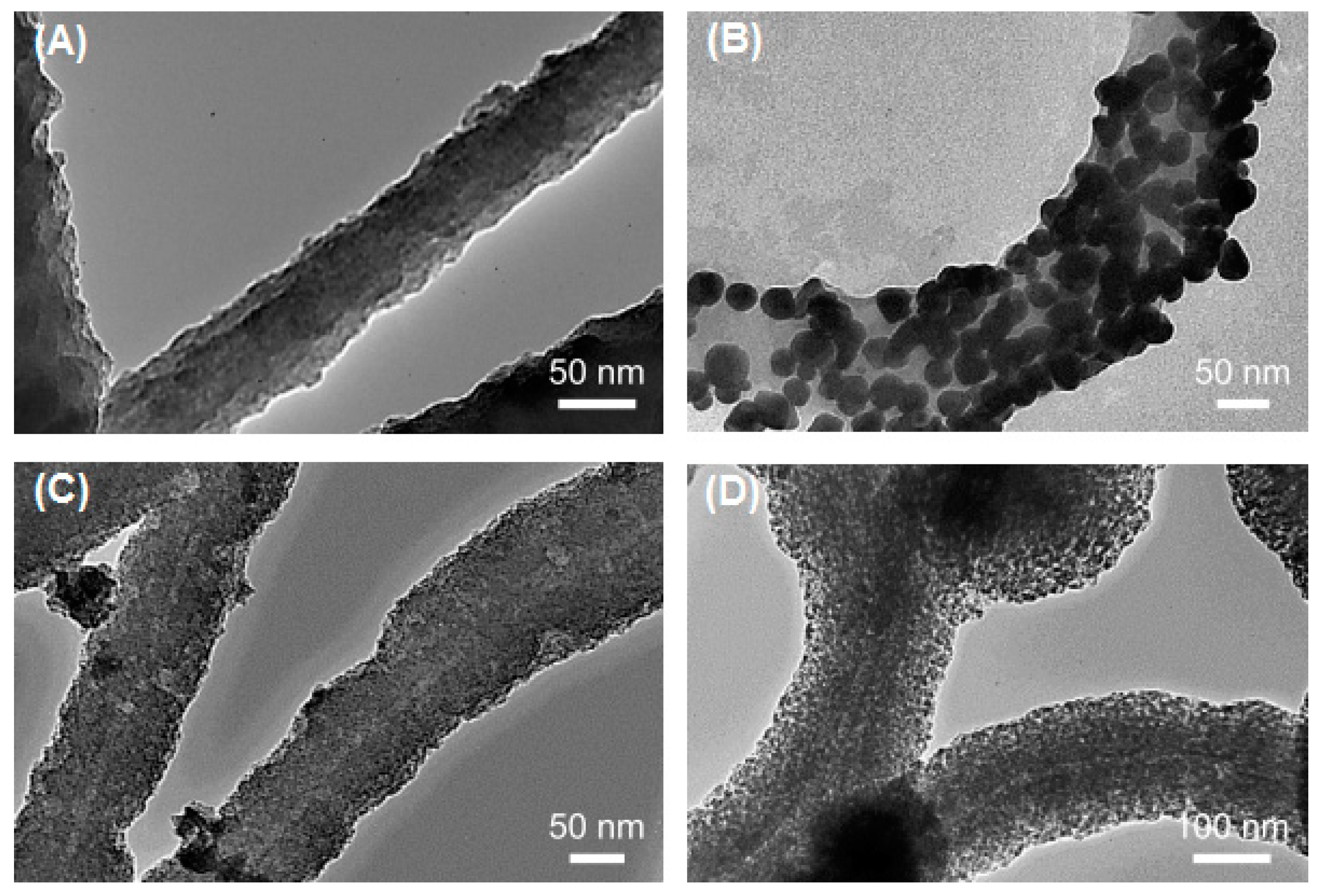 Biomedicines 07 00046 g001