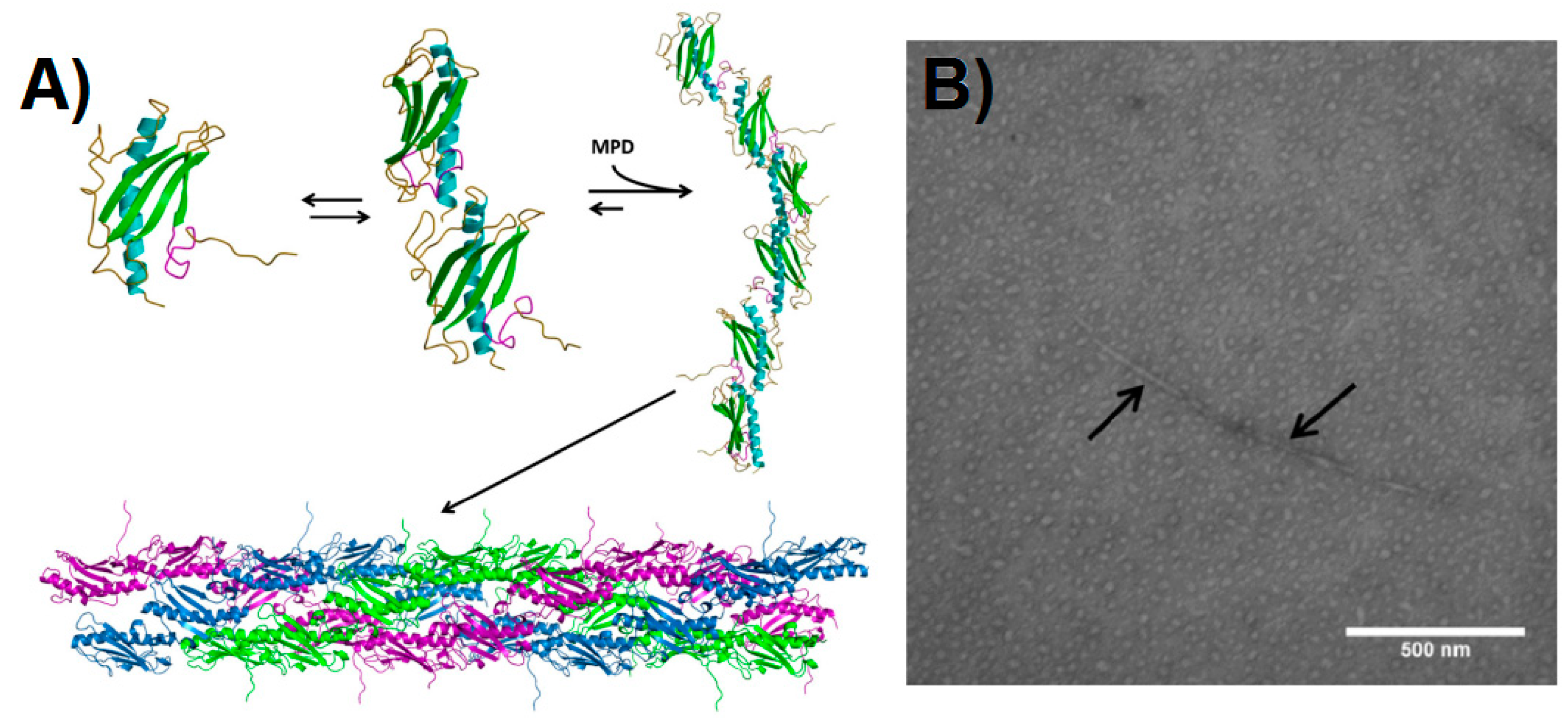 Biomedicines 07 00046 g002