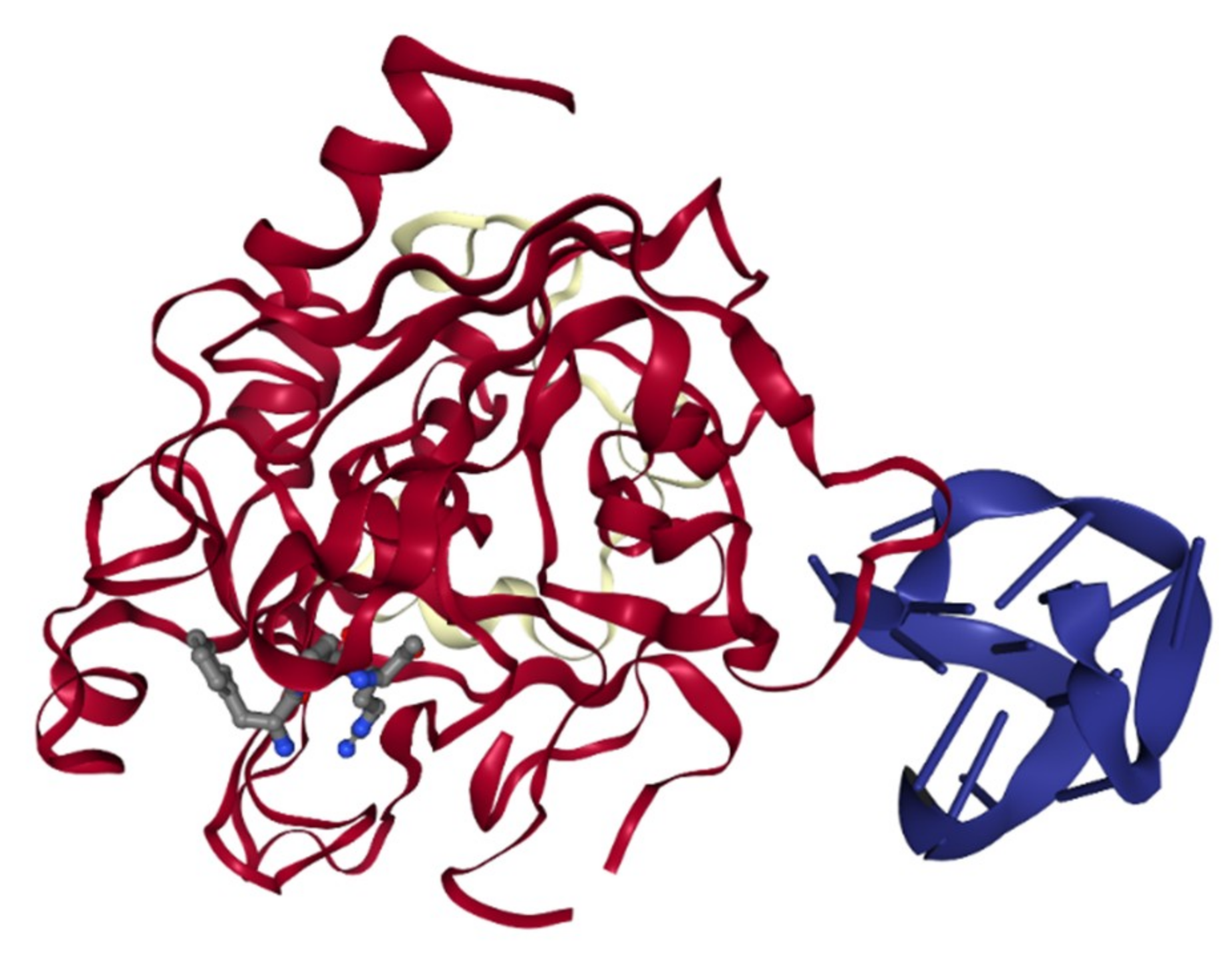 Biomedicines 07 00055 g004 Biomedicines 07 00055 g004