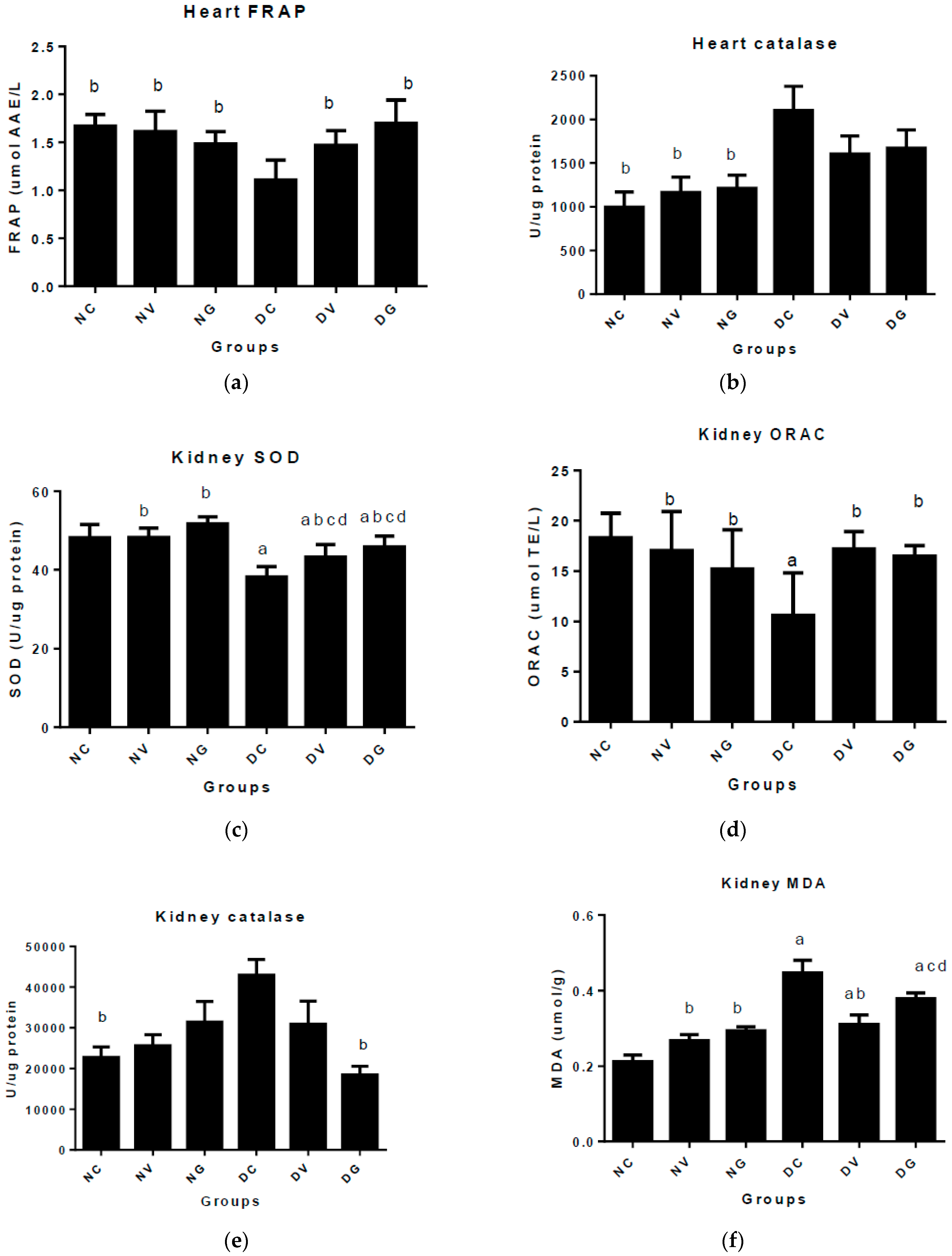 Biomedicines 07 00059 g004
