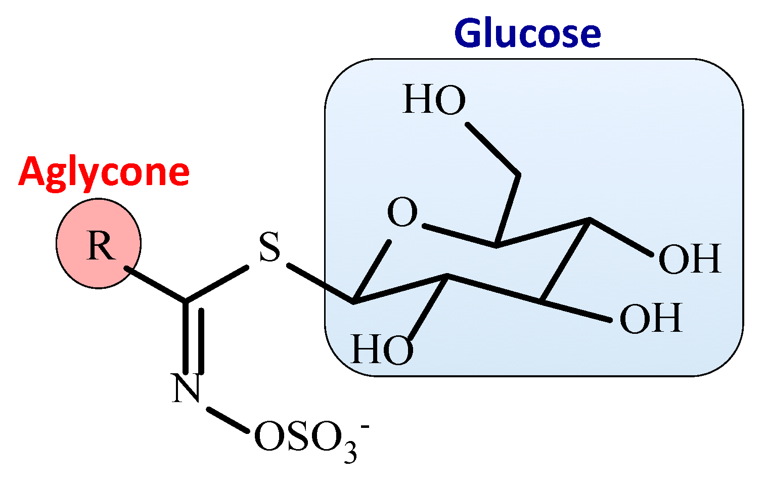Biomedicines 07 00062 g001