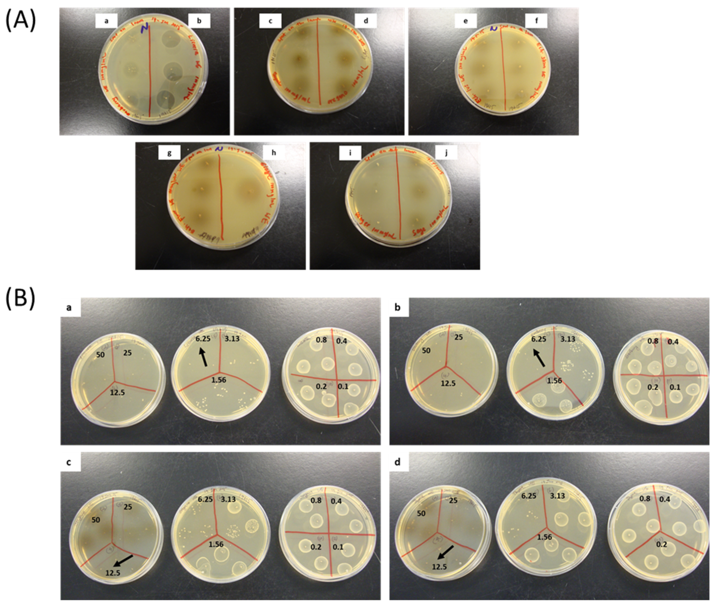 Biomedicines 07 00063 g002