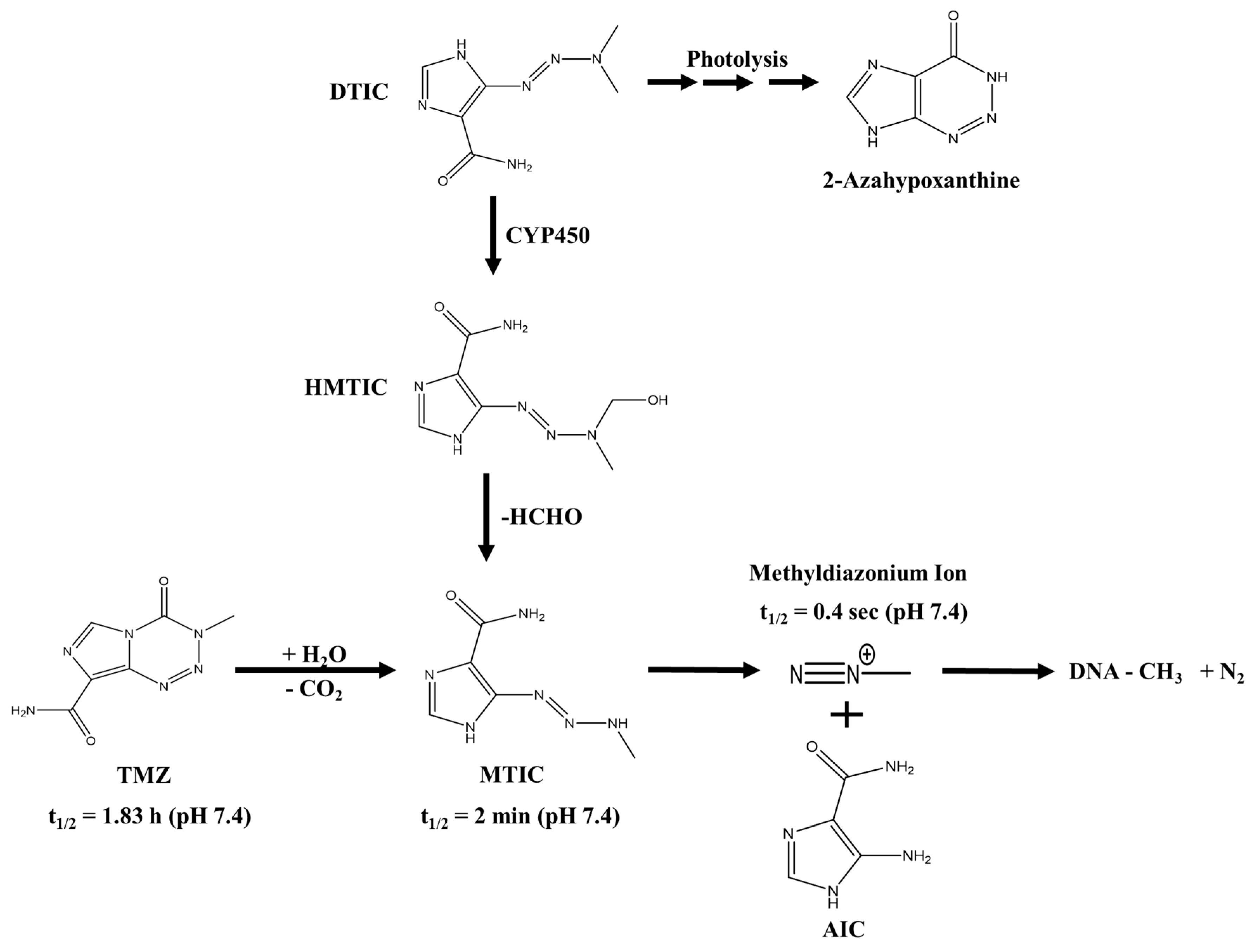 Biomedicines 07 00069 g001