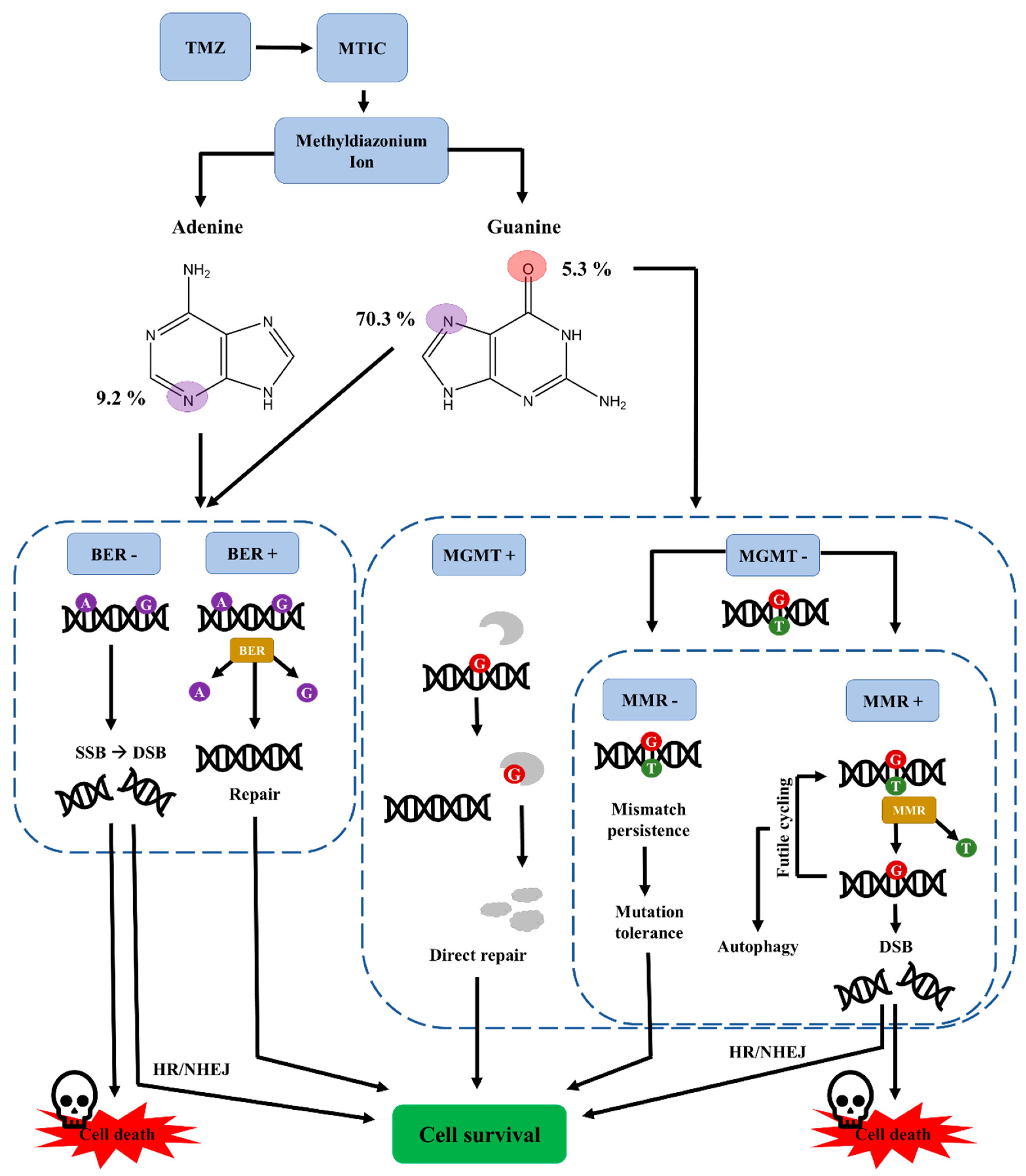 Biomedicines 07 00069 g002