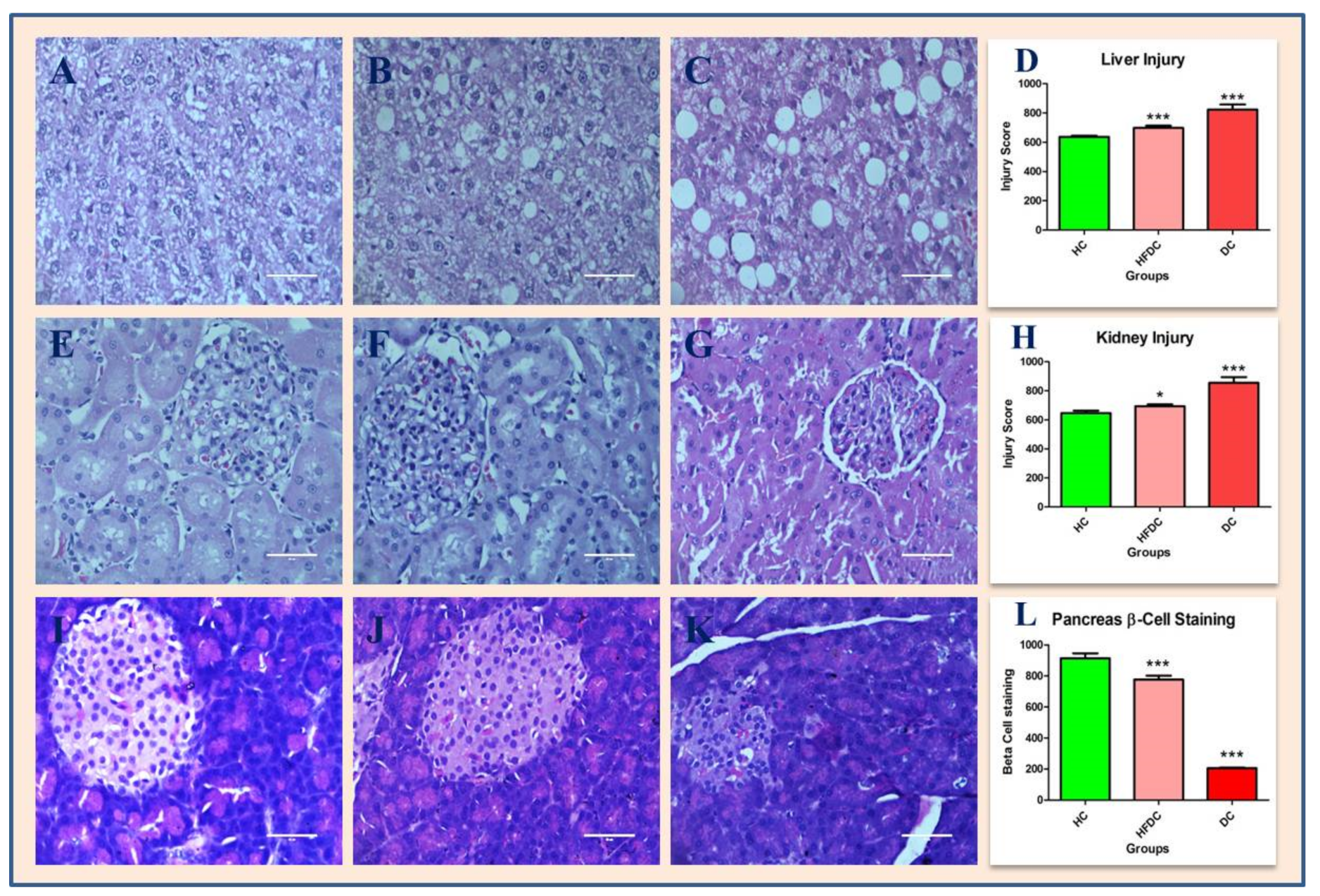 Biomedicines 07 00076 g006