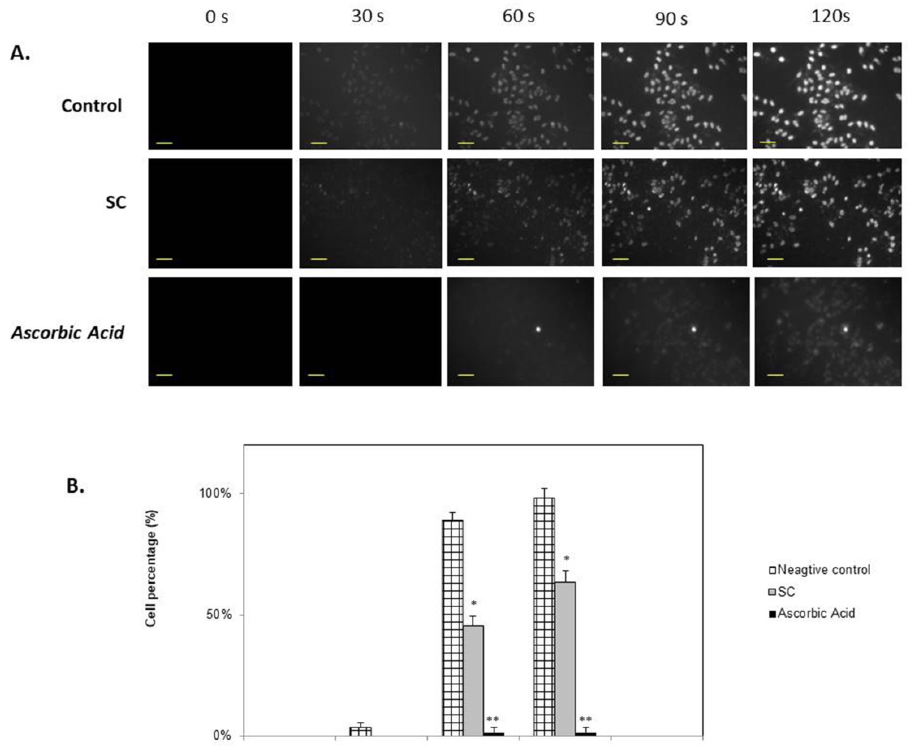 Biomedicines 07 00077 g004 Biomedicines 07 00077 g004