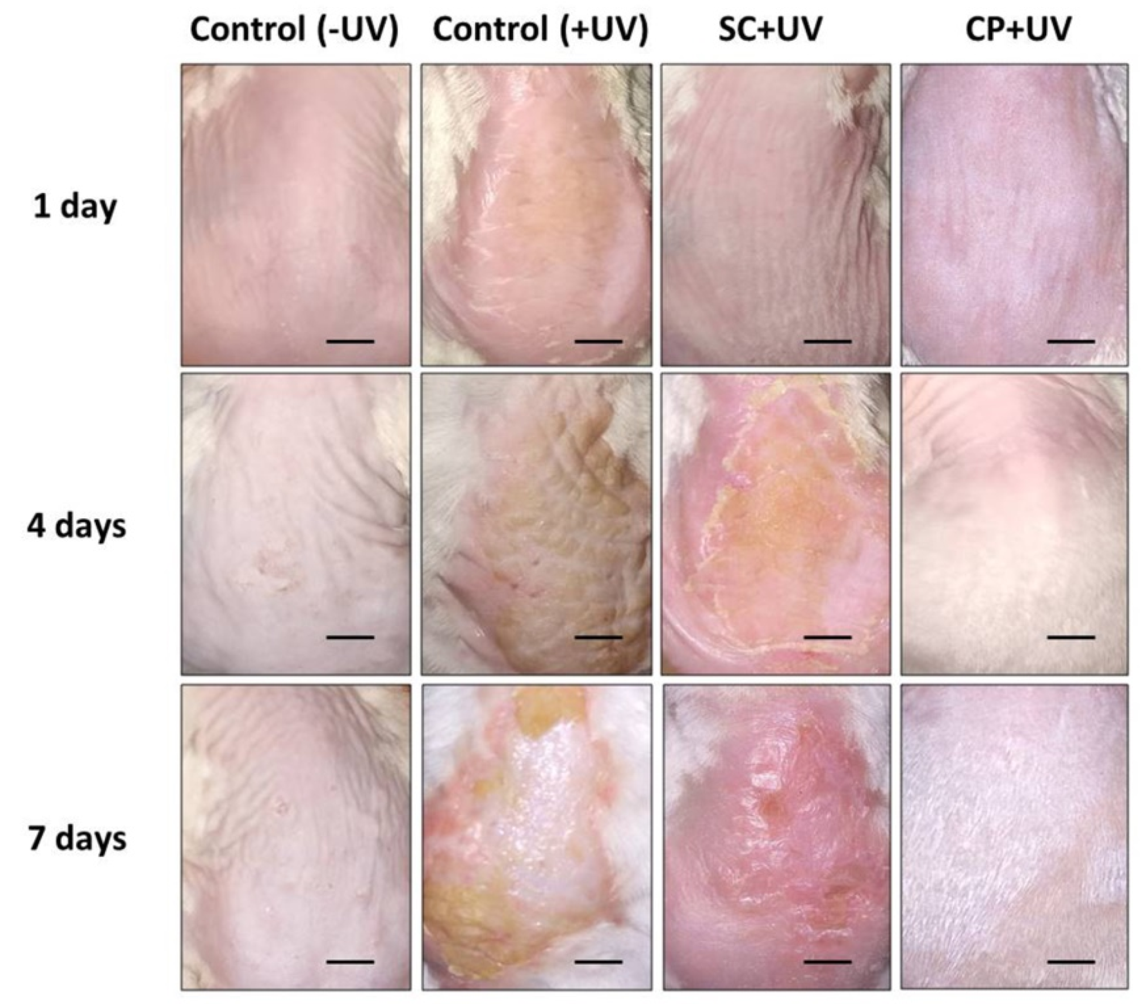 Biomedicines 07 00077 g005 Biomedicines 07 00077 g005