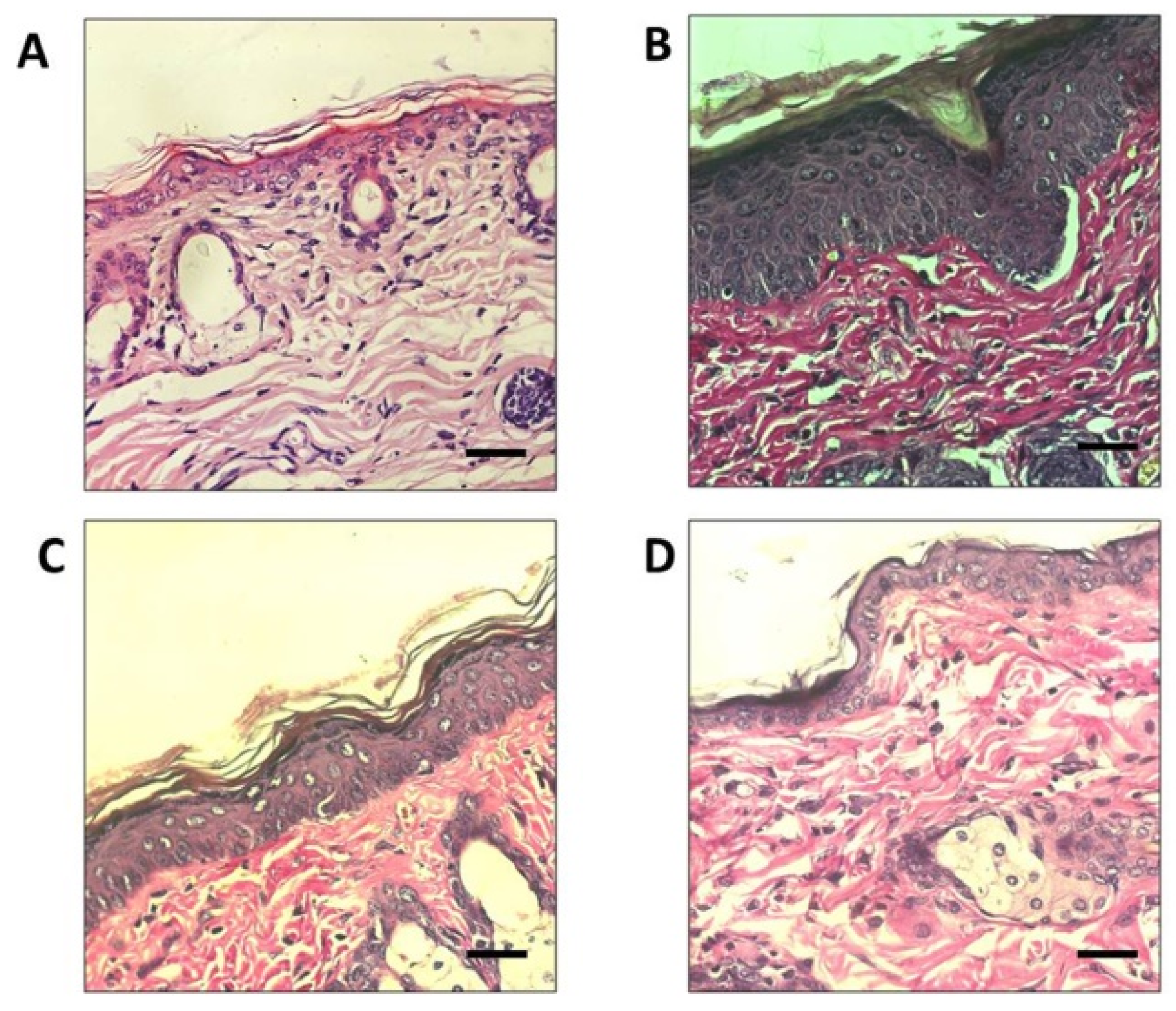 Biomedicines 07 00077 g007 Biomedicines 07 00077 g007