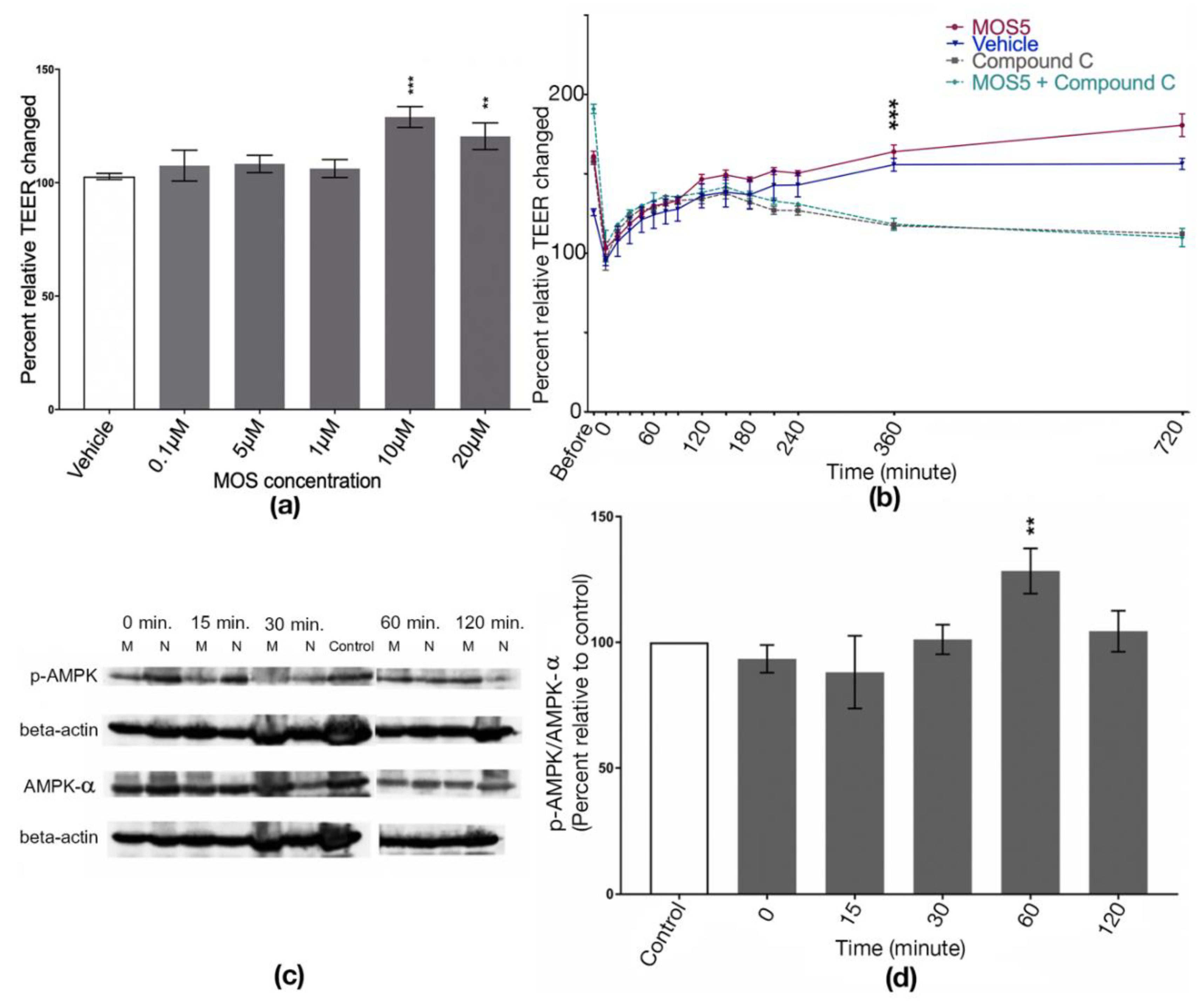 Biomedicines 07 00081 g001