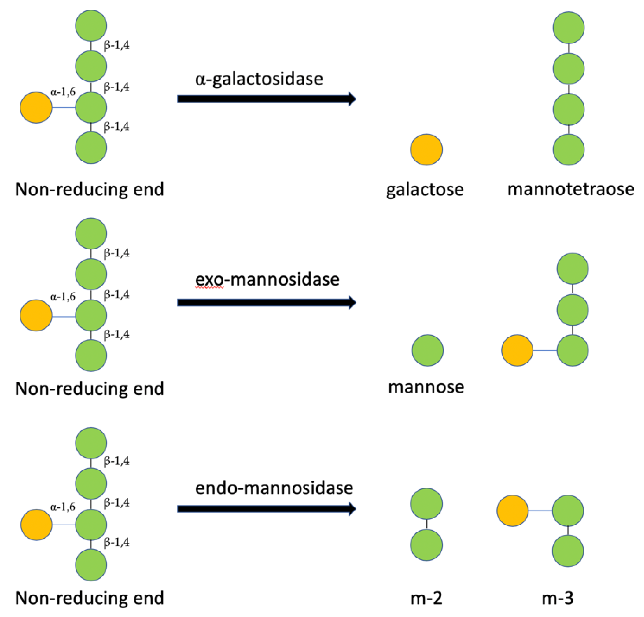 Biomedicines 07 00081 g003