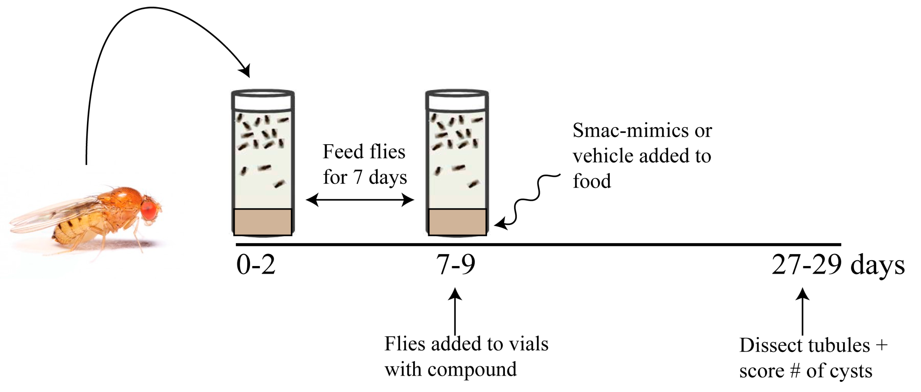 Biomedicines 07 00082 g002